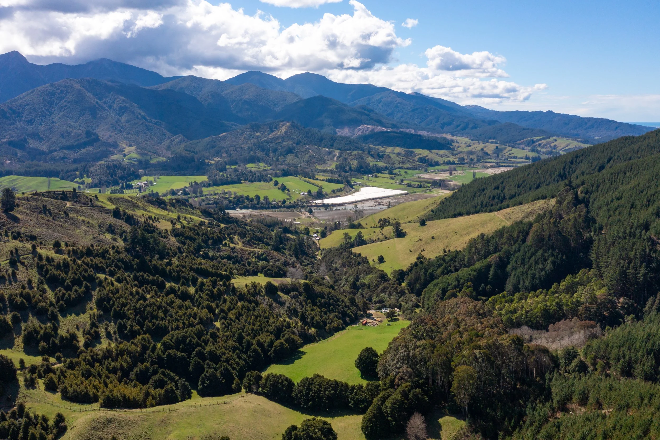 1809 Motueka Valley (43 of 69).jpg