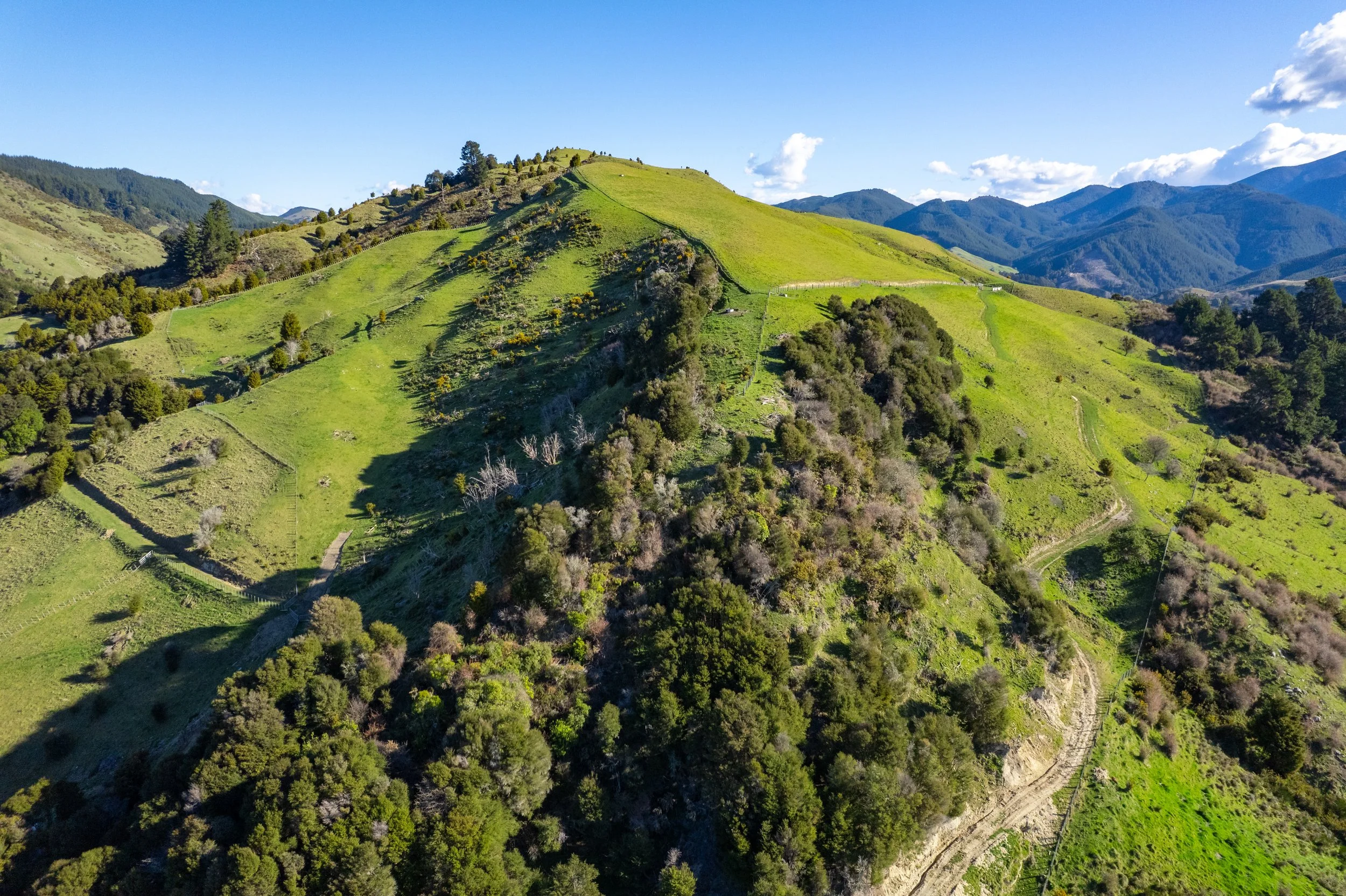 1809 Motueka Valley (42 of 69).jpg