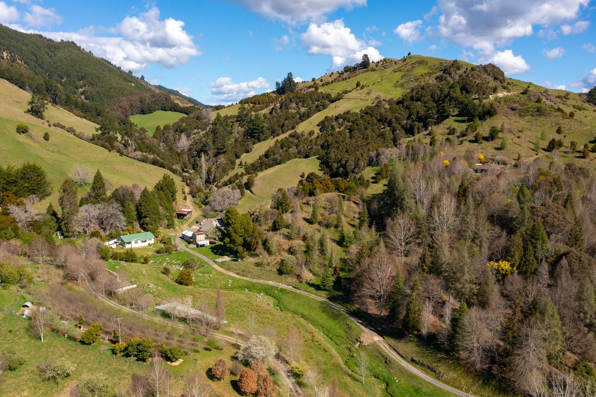 1809 Motueka Valley (45 of 69).jpg