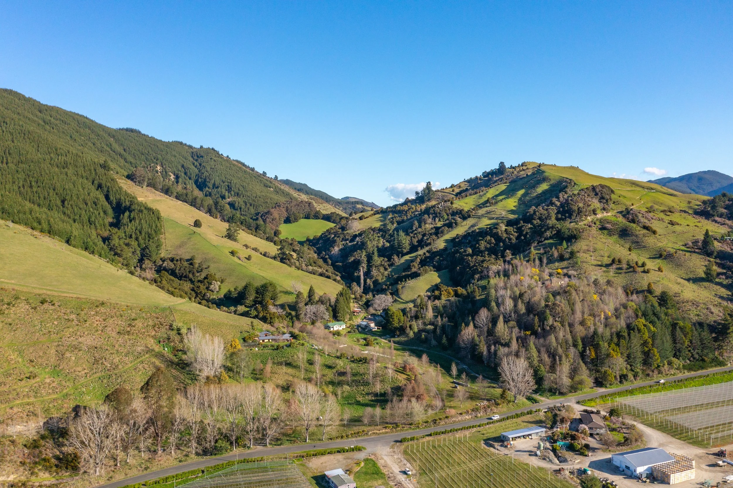 1809 Motueka Valley (46 of 69).jpg