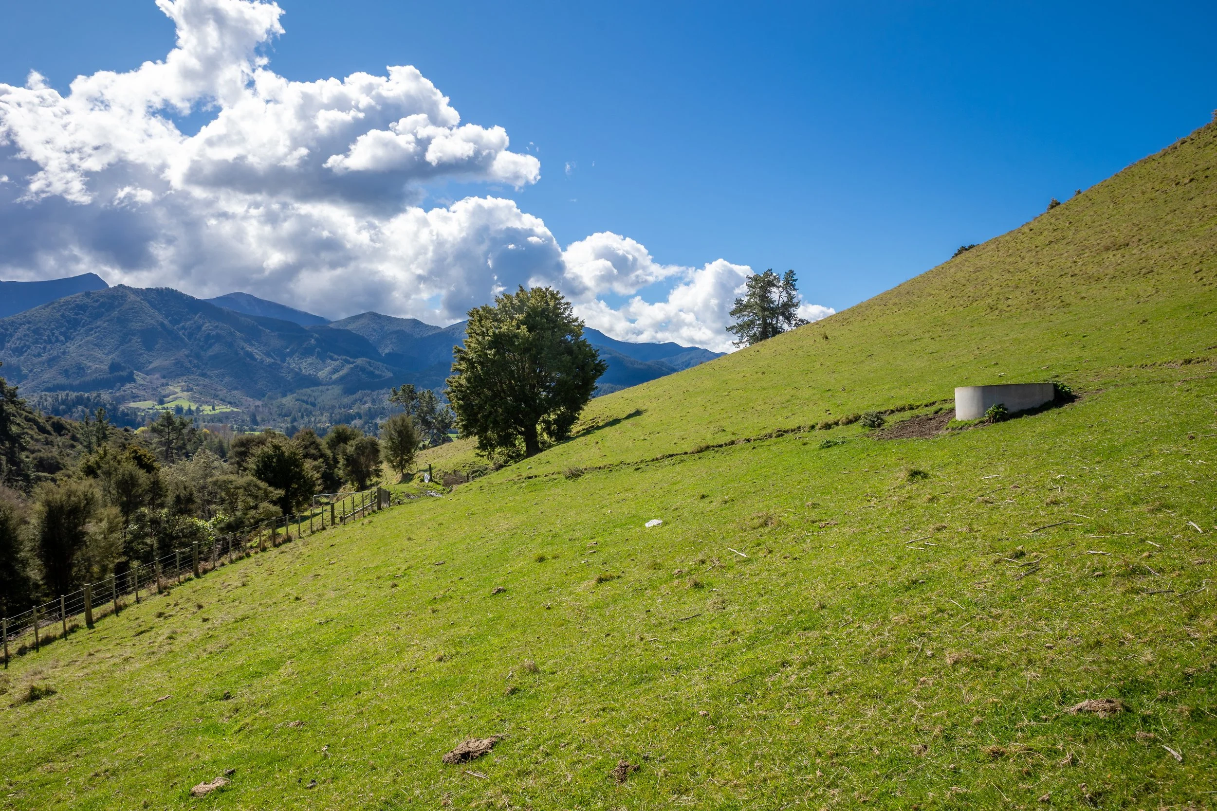 1809 Motueka Valley (49 of 69).jpg