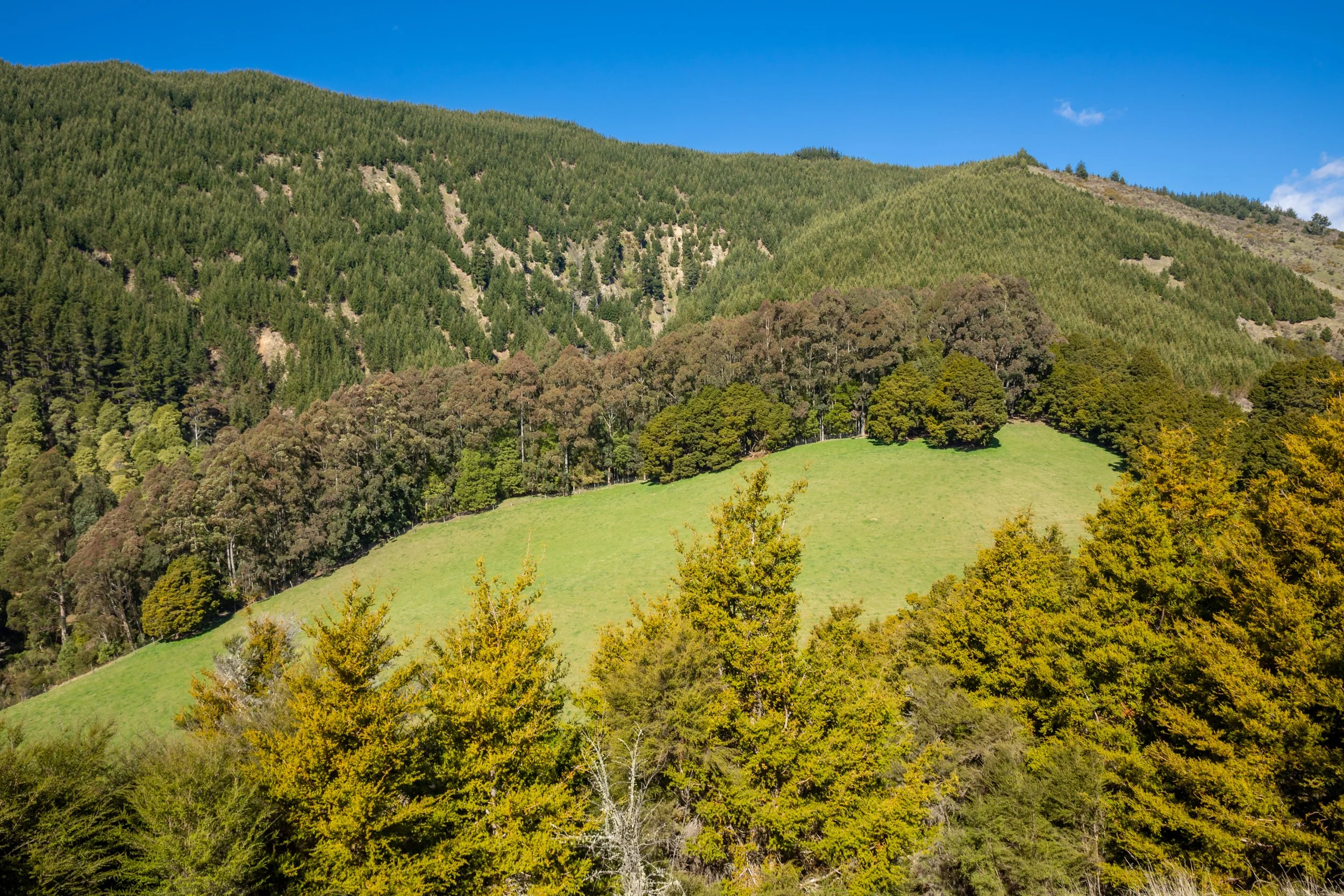 1809 Motueka Valley (54 of 69).jpg