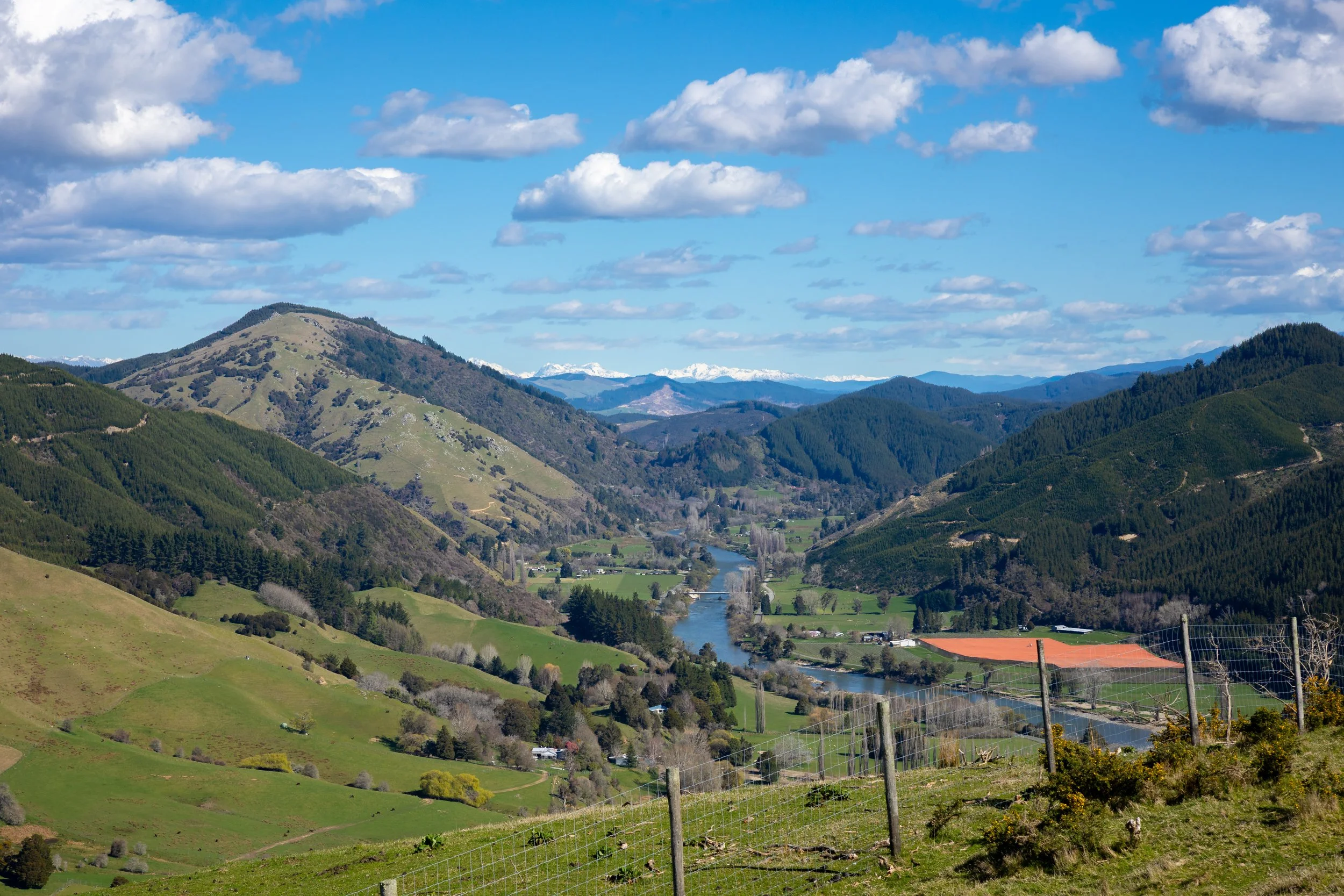 1809 Motueka Valley (59 of 69).jpg