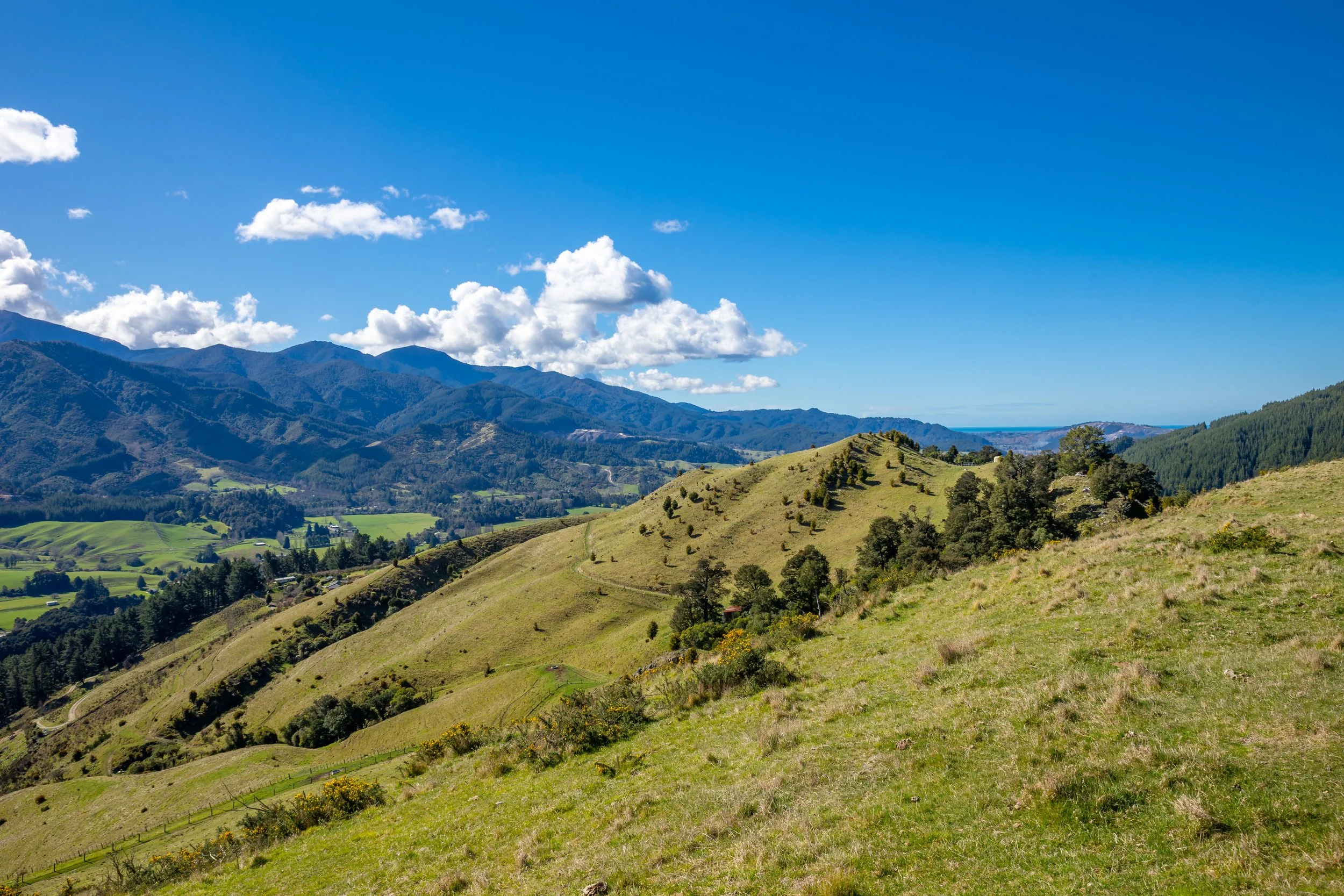 1809 Motueka Valley (60 of 69).jpg