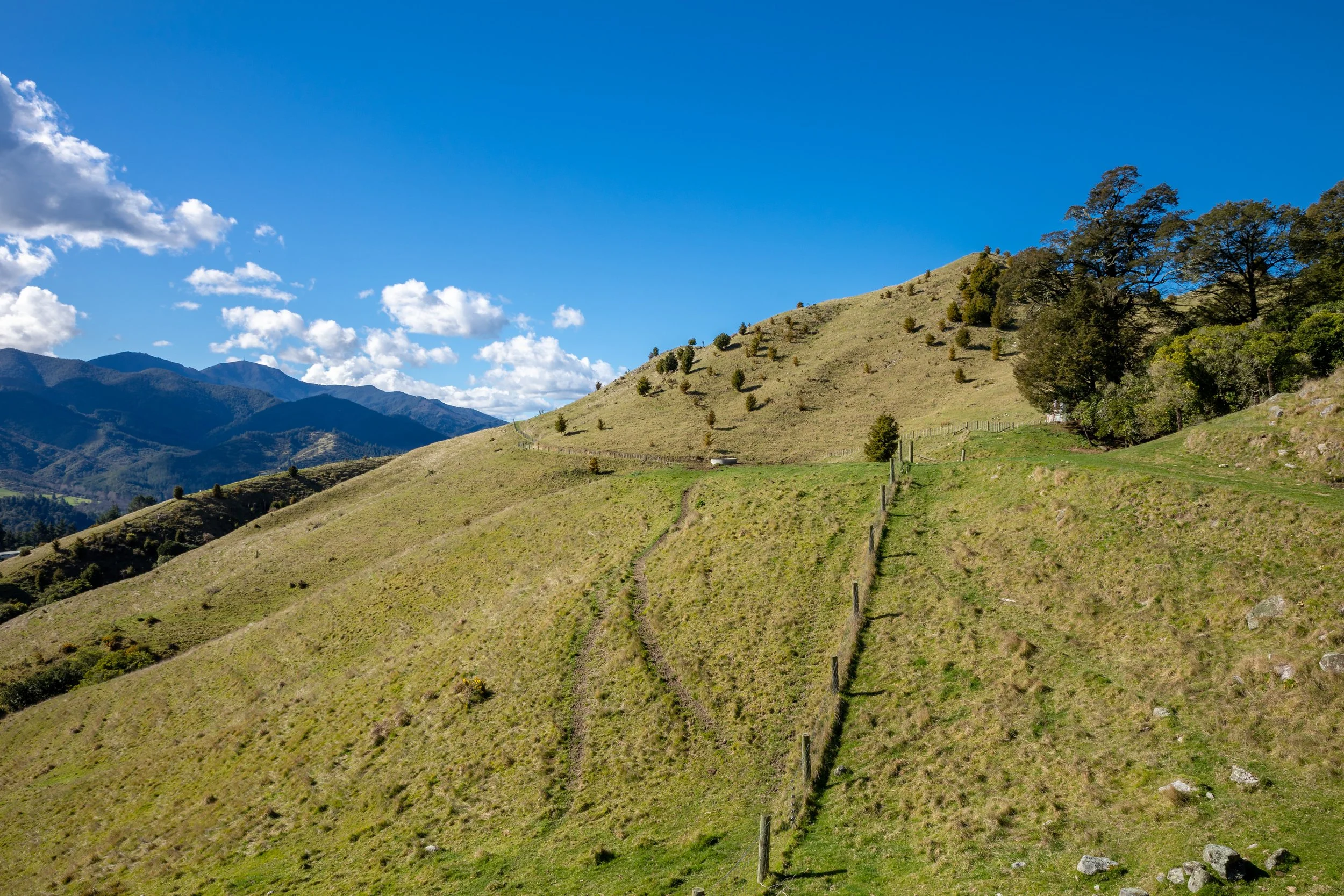 1809 Motueka Valley (64 of 69).jpg