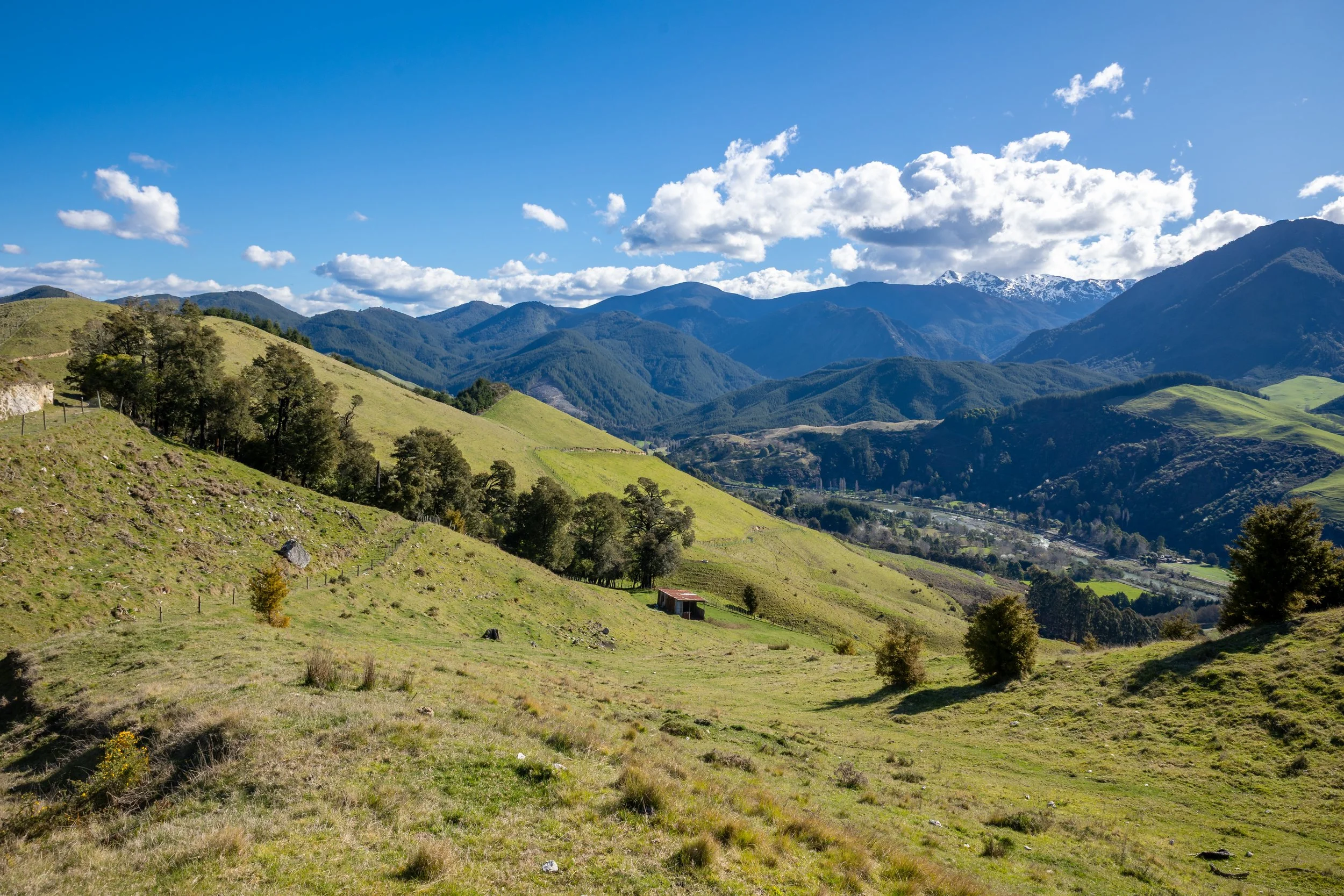 1809 Motueka Valley (67 of 69).jpg