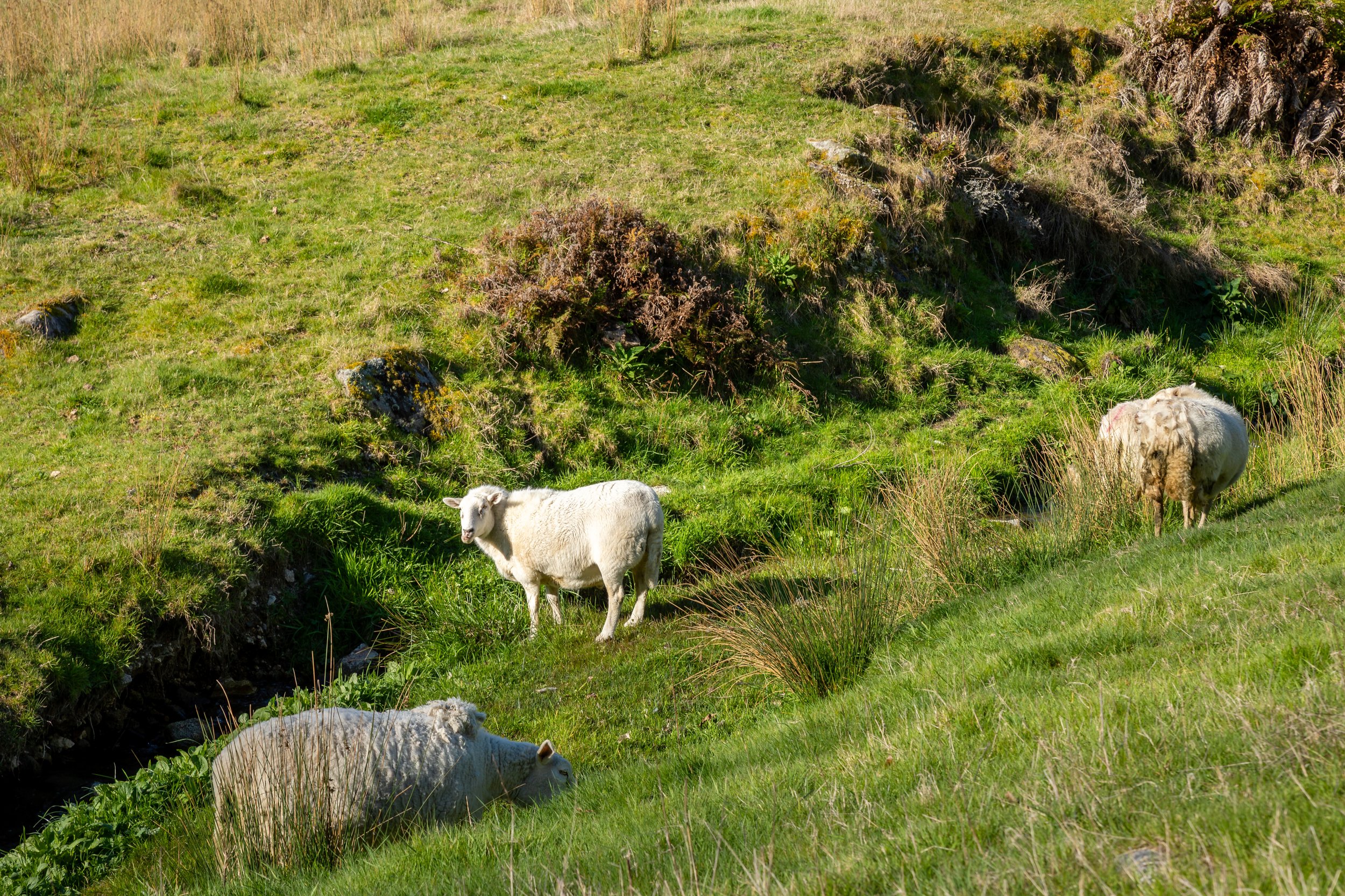 1809 Motueka Valley (69 of 69).jpg
