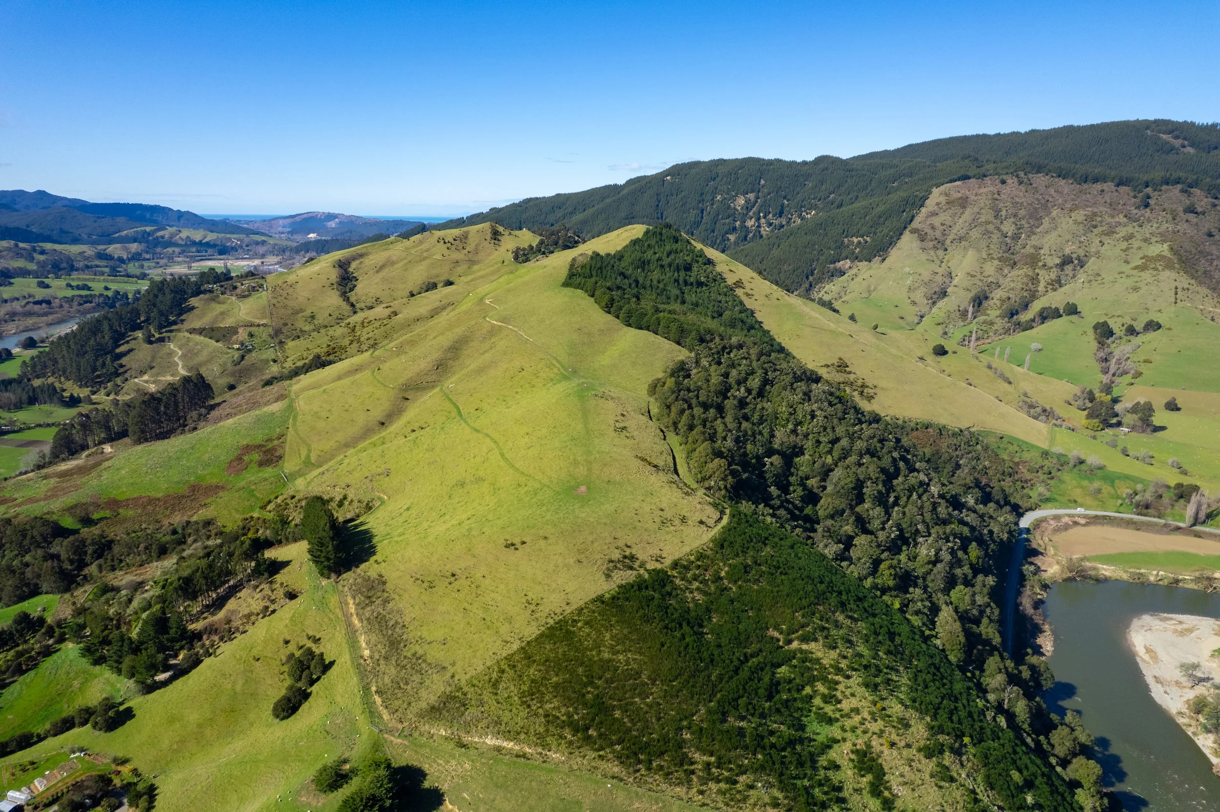 1809 Motueka Valley (6 of 69).jpg