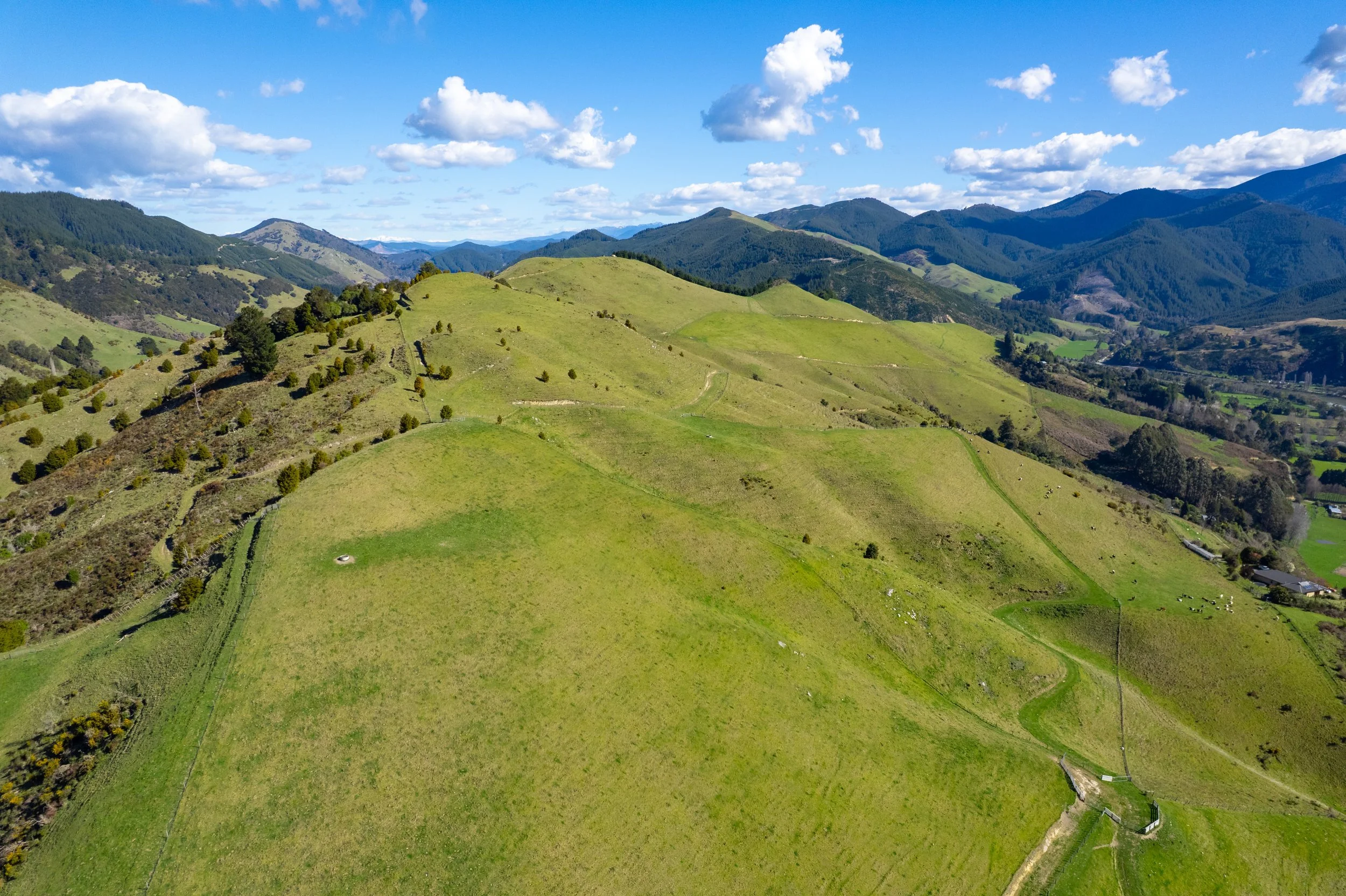 1809 Motueka Valley (9 of 69).jpg