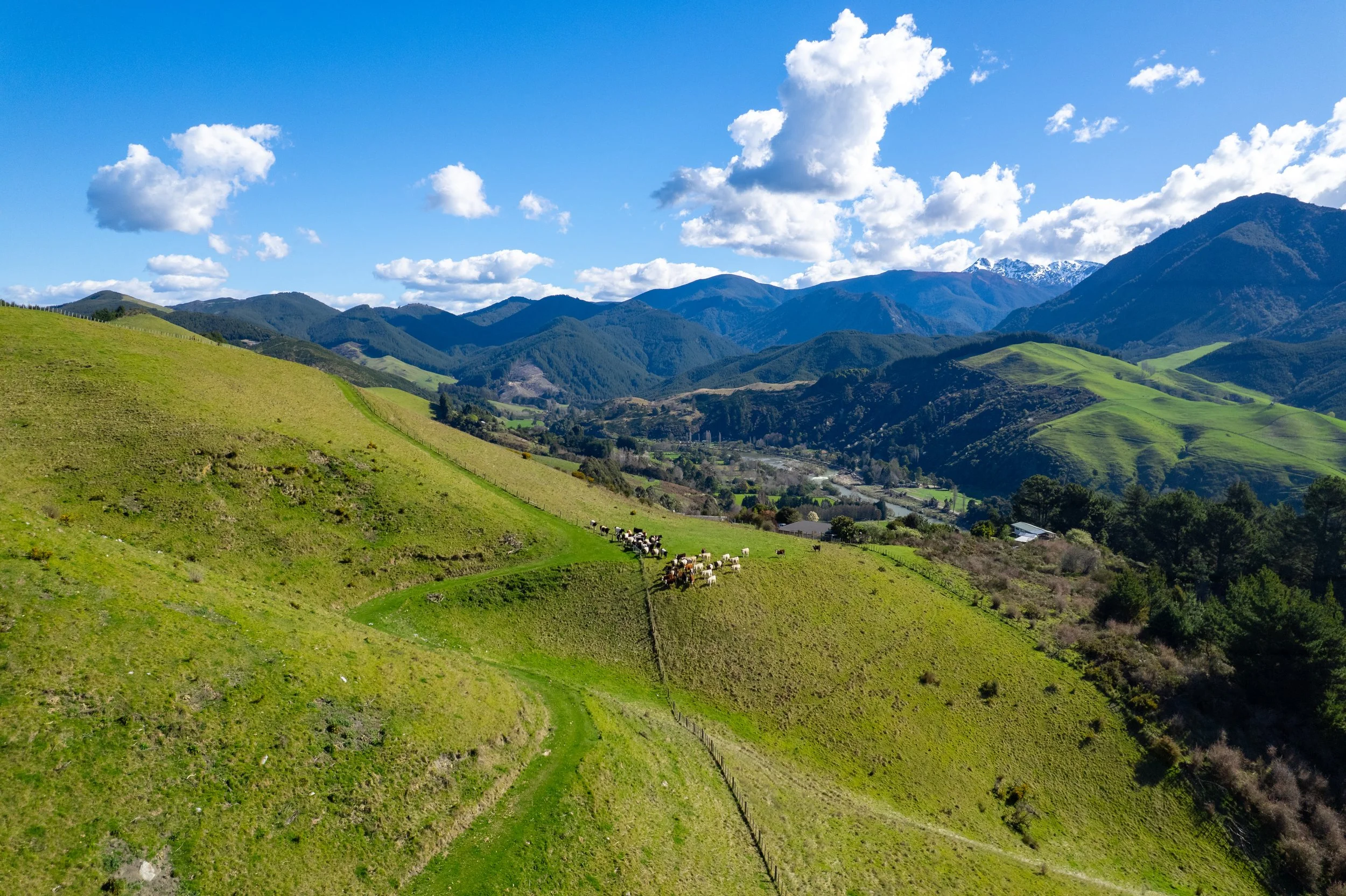 1809 Motueka Valley (12 of 69).jpg
