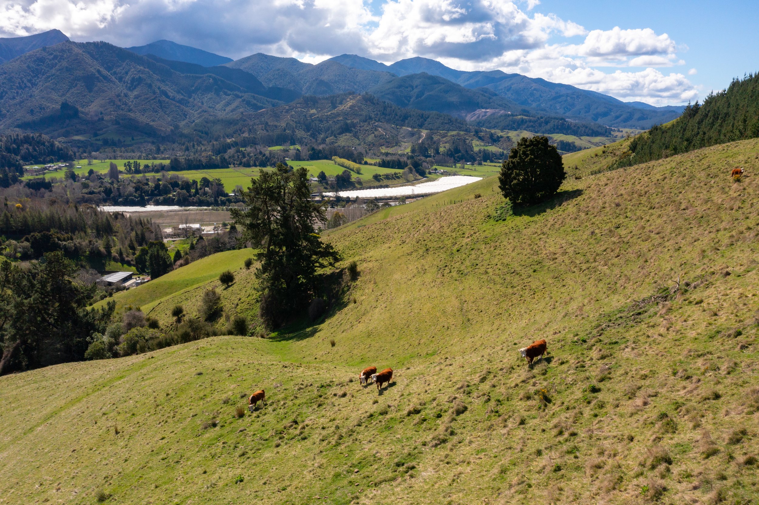 1809 Motueka Valley (27 of 69).jpg