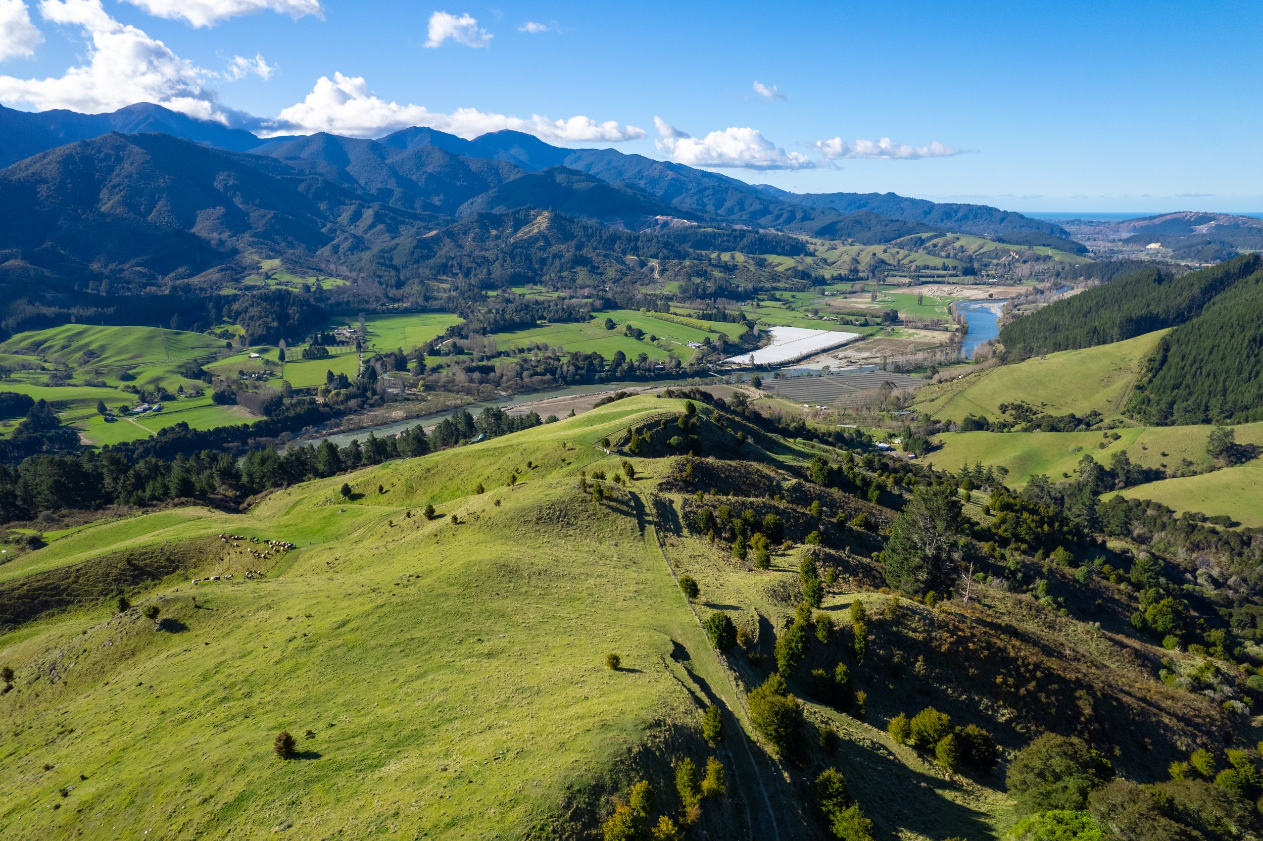 1809 Motueka Valley (35 of 69).jpg