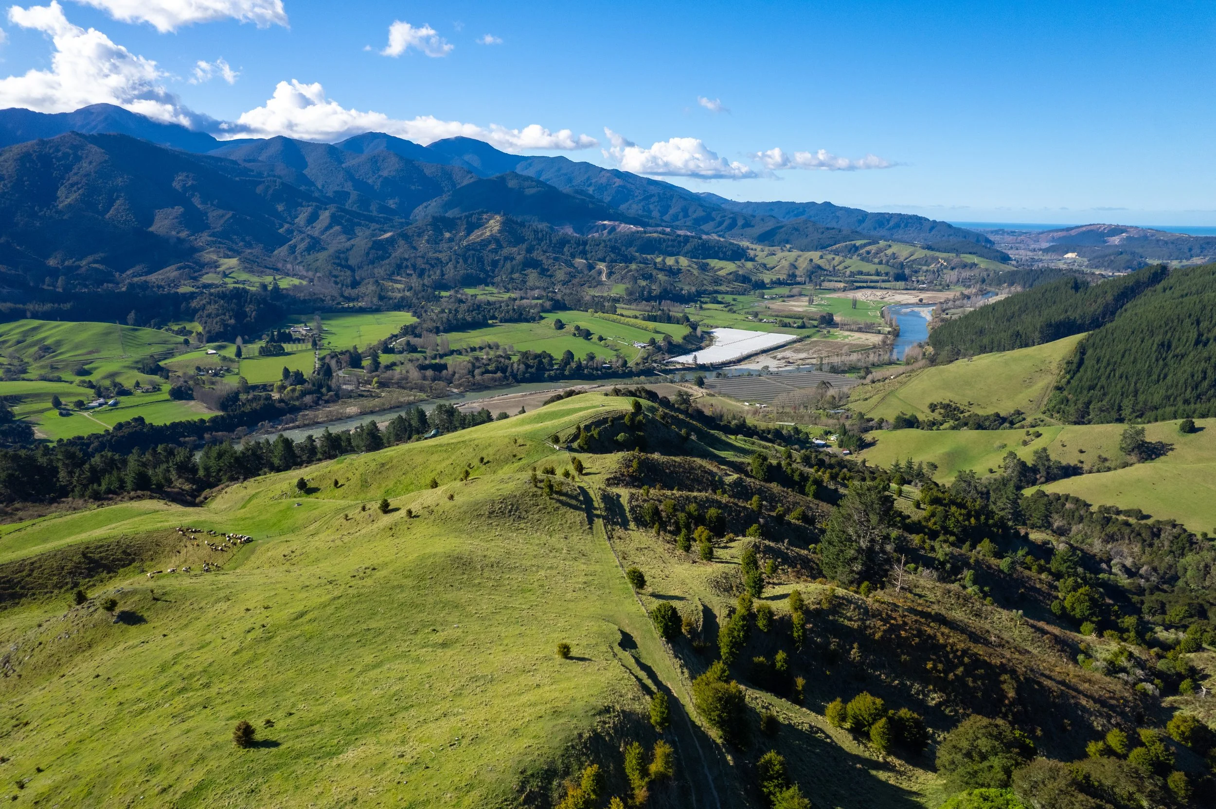 1809 Motueka Valley (39 of 69).jpg
