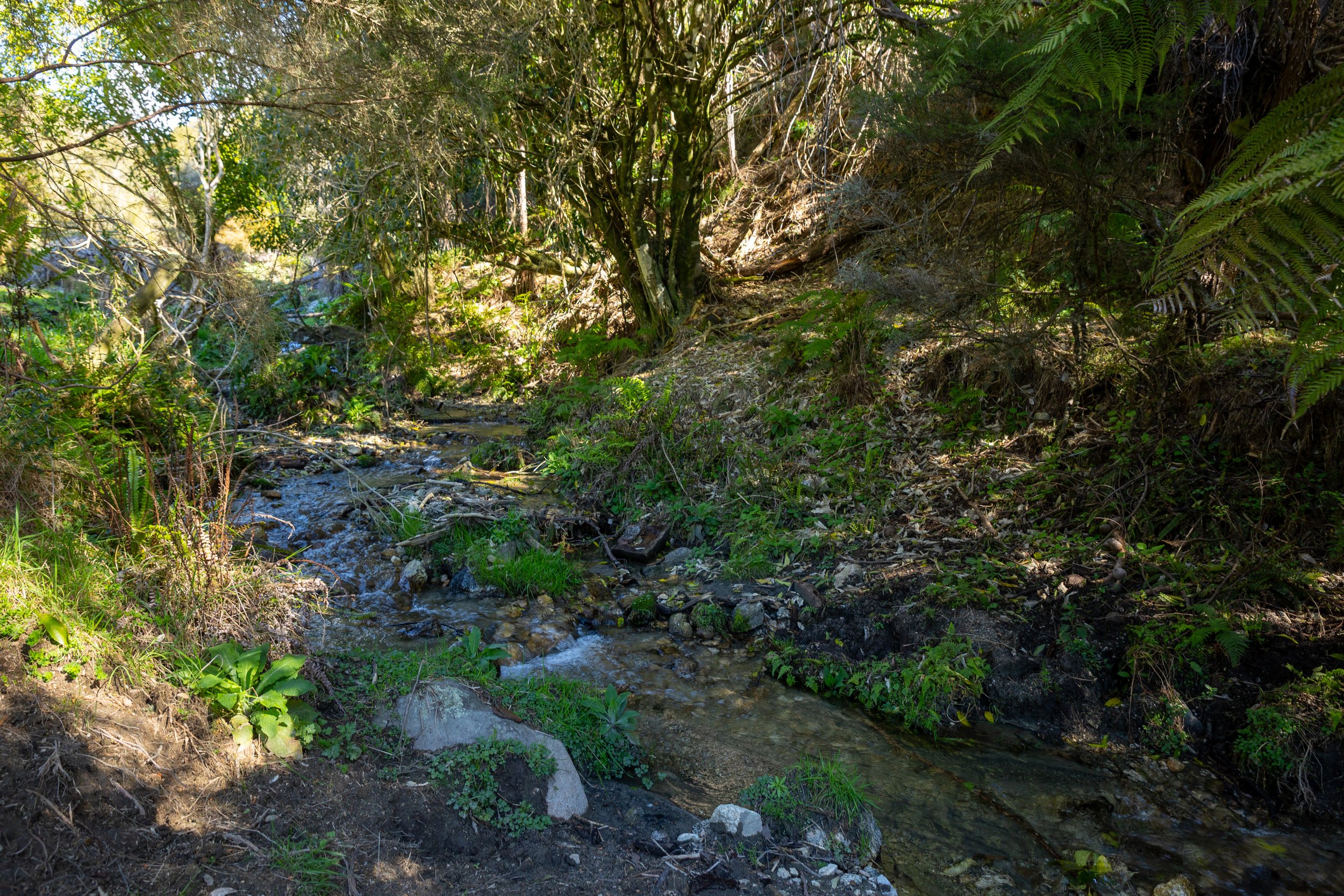 1809 Motueka Valley (47 of 69).jpg