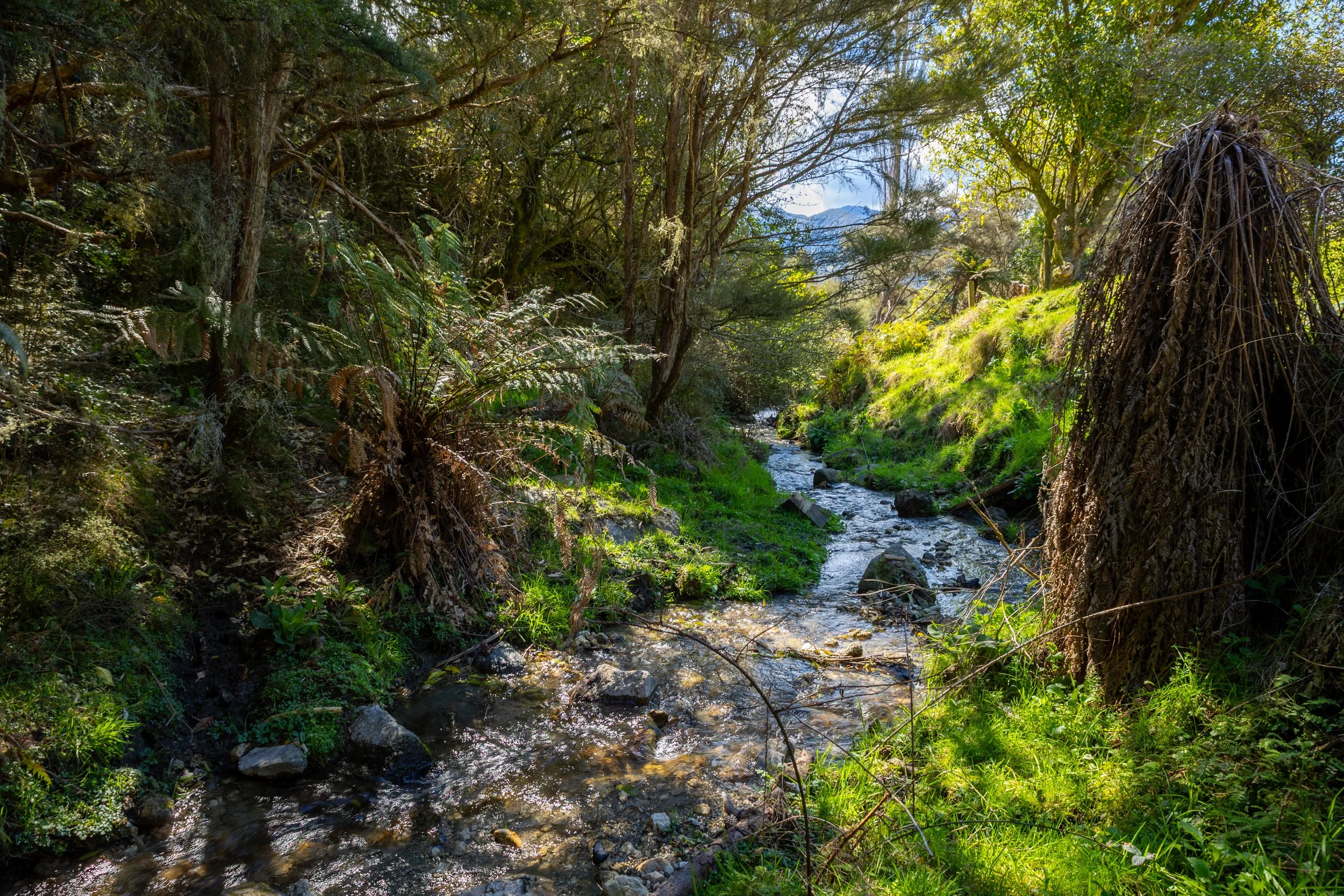 1809 Motueka Valley (48 of 69).jpg