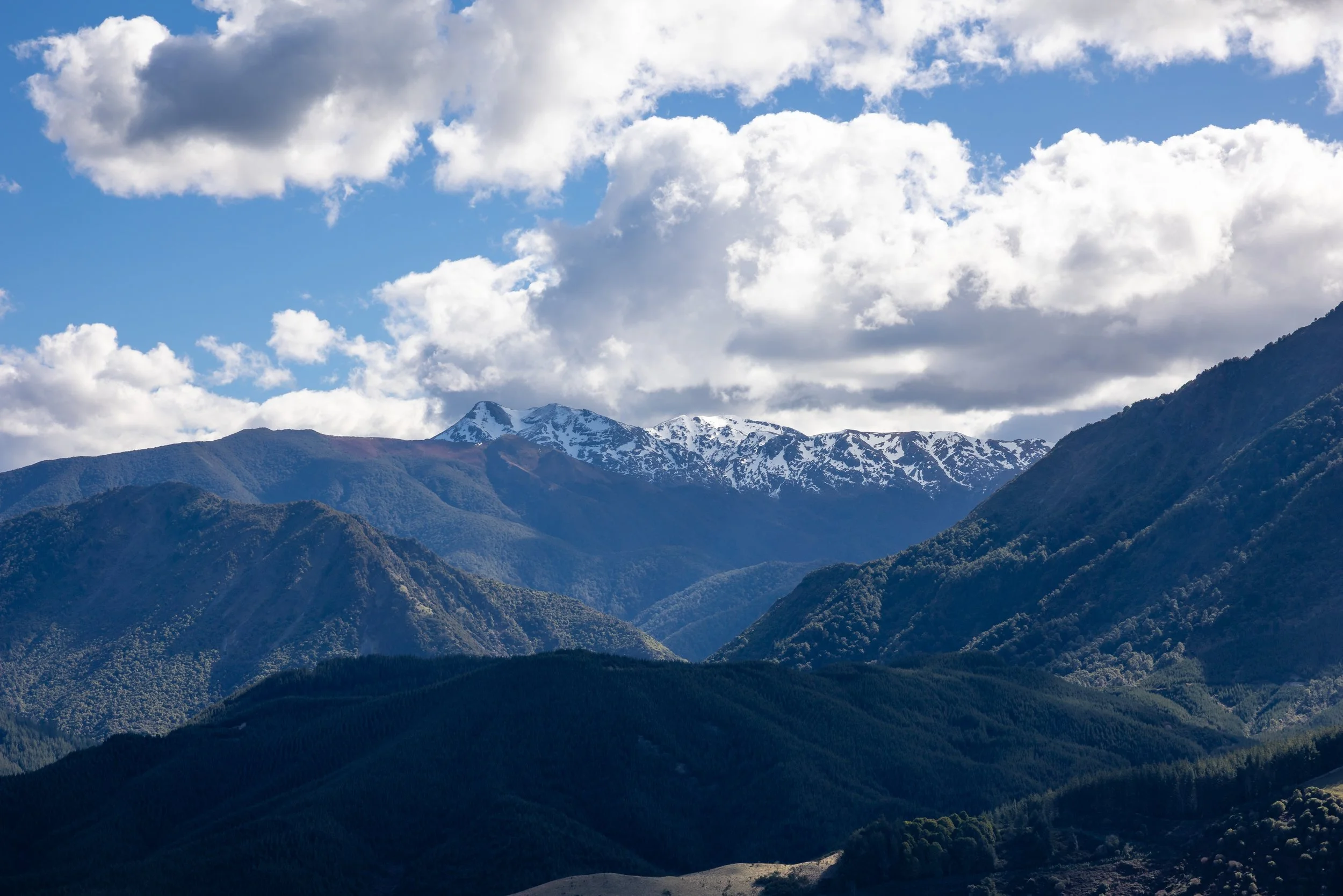 1809 Motueka Valley (58 of 69).jpg