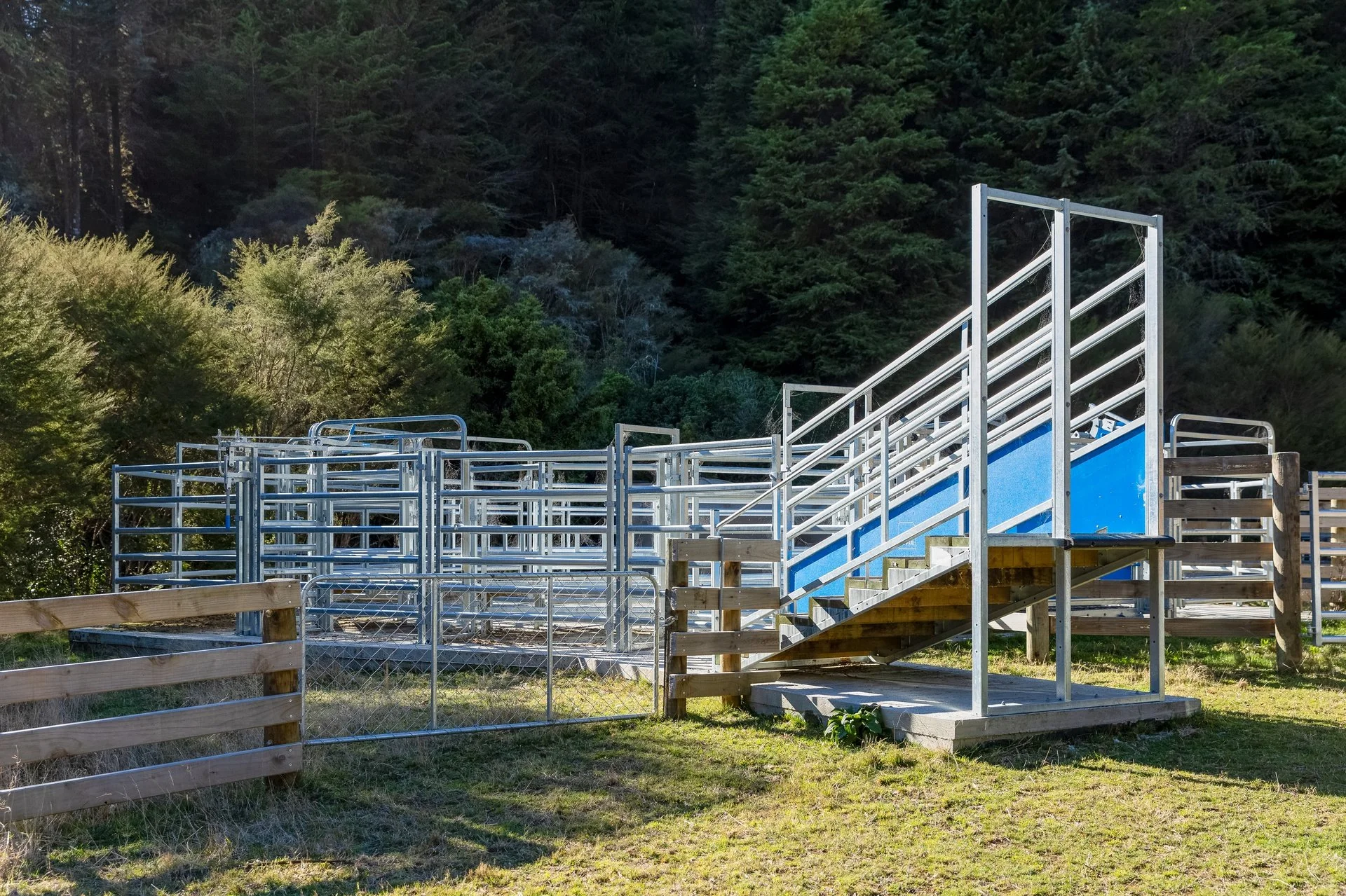 1809 Motueka Valley-71_1920px.jpg