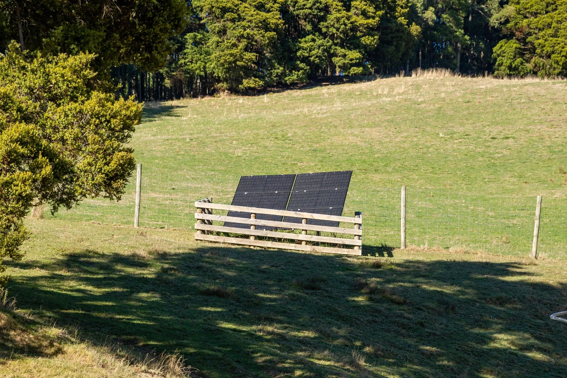1809 Motueka Valley-72_1920px.jpg