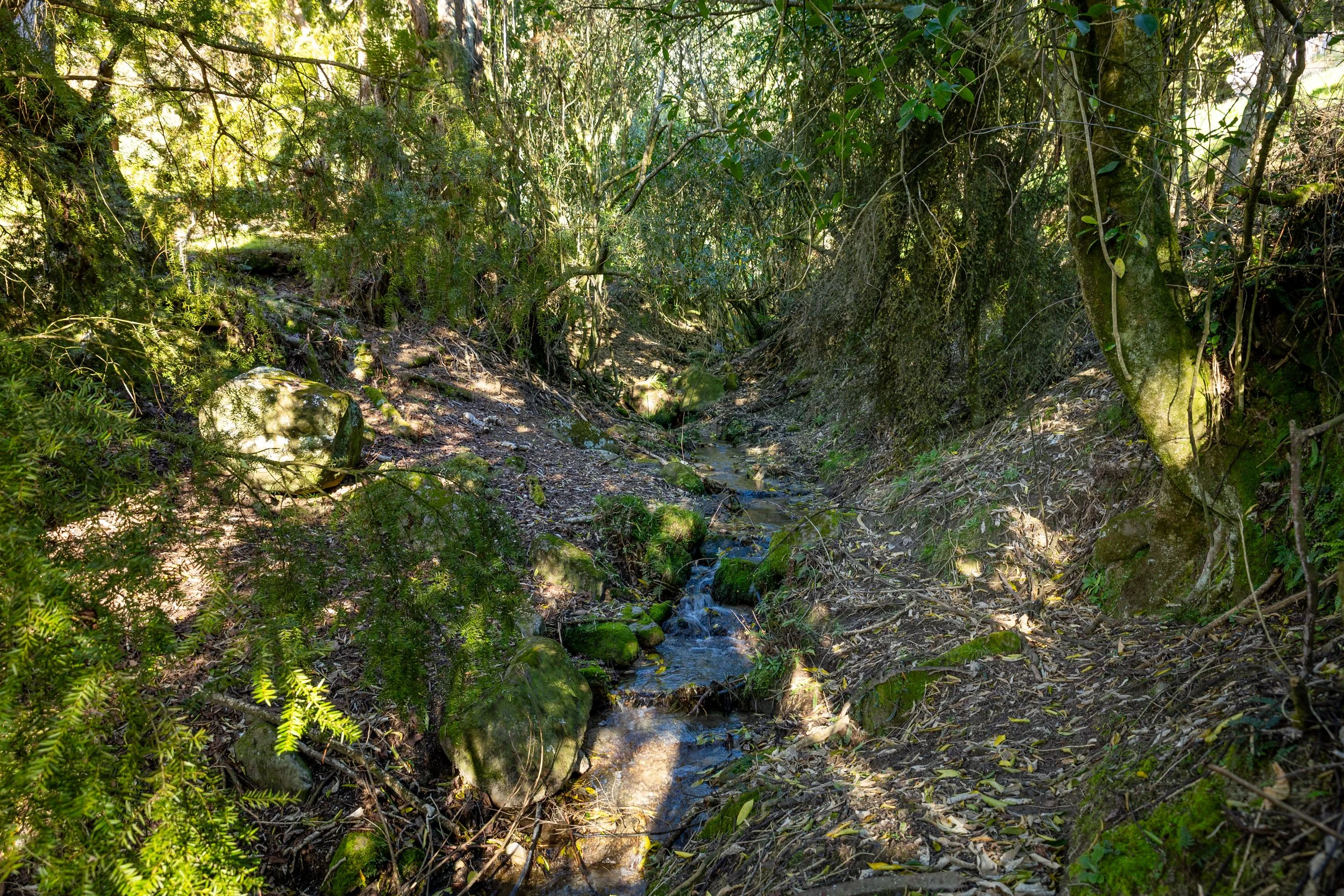 1809 Motueka Valley (68 of 69).jpg