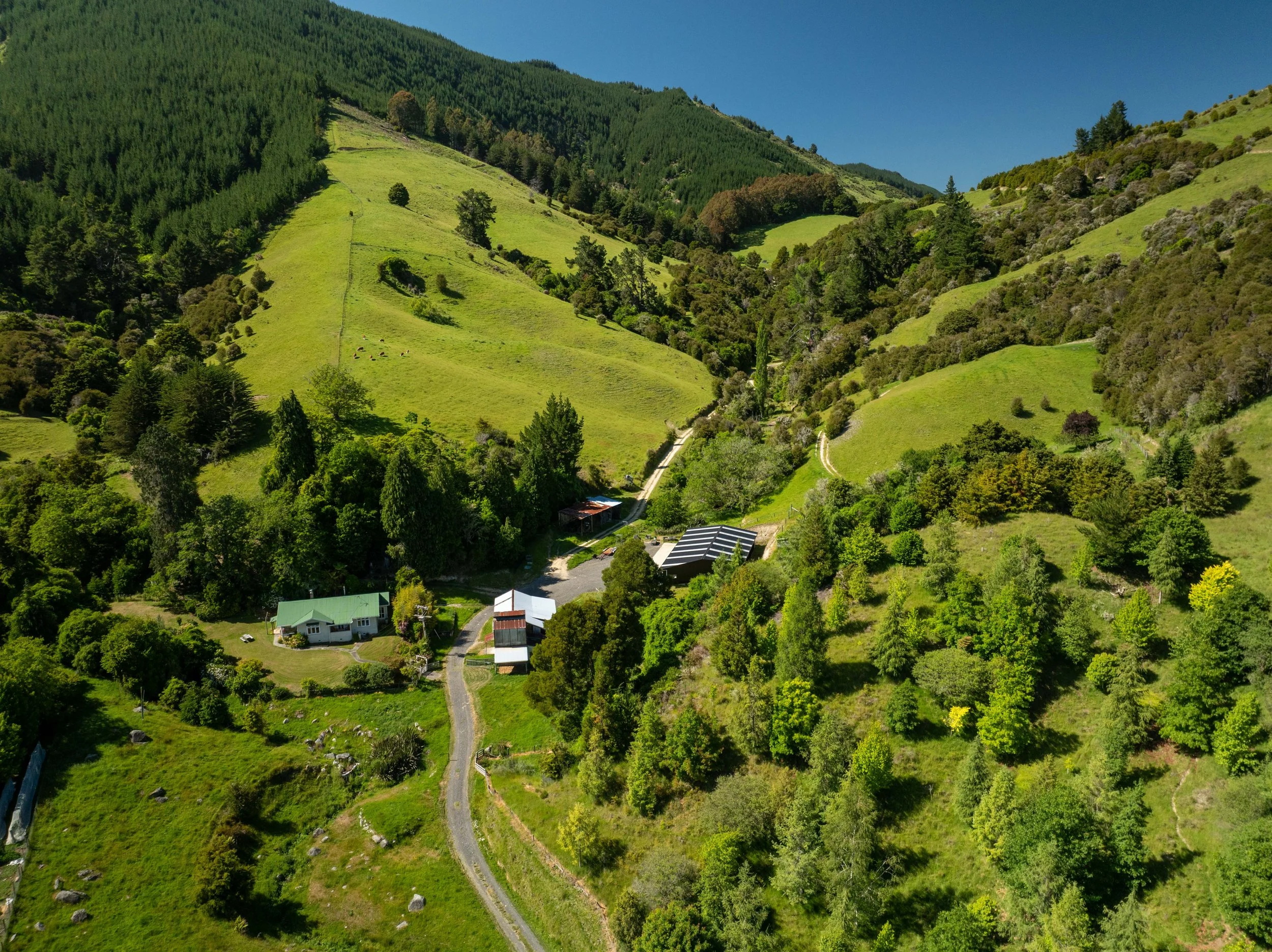 DJI_0847.jpg