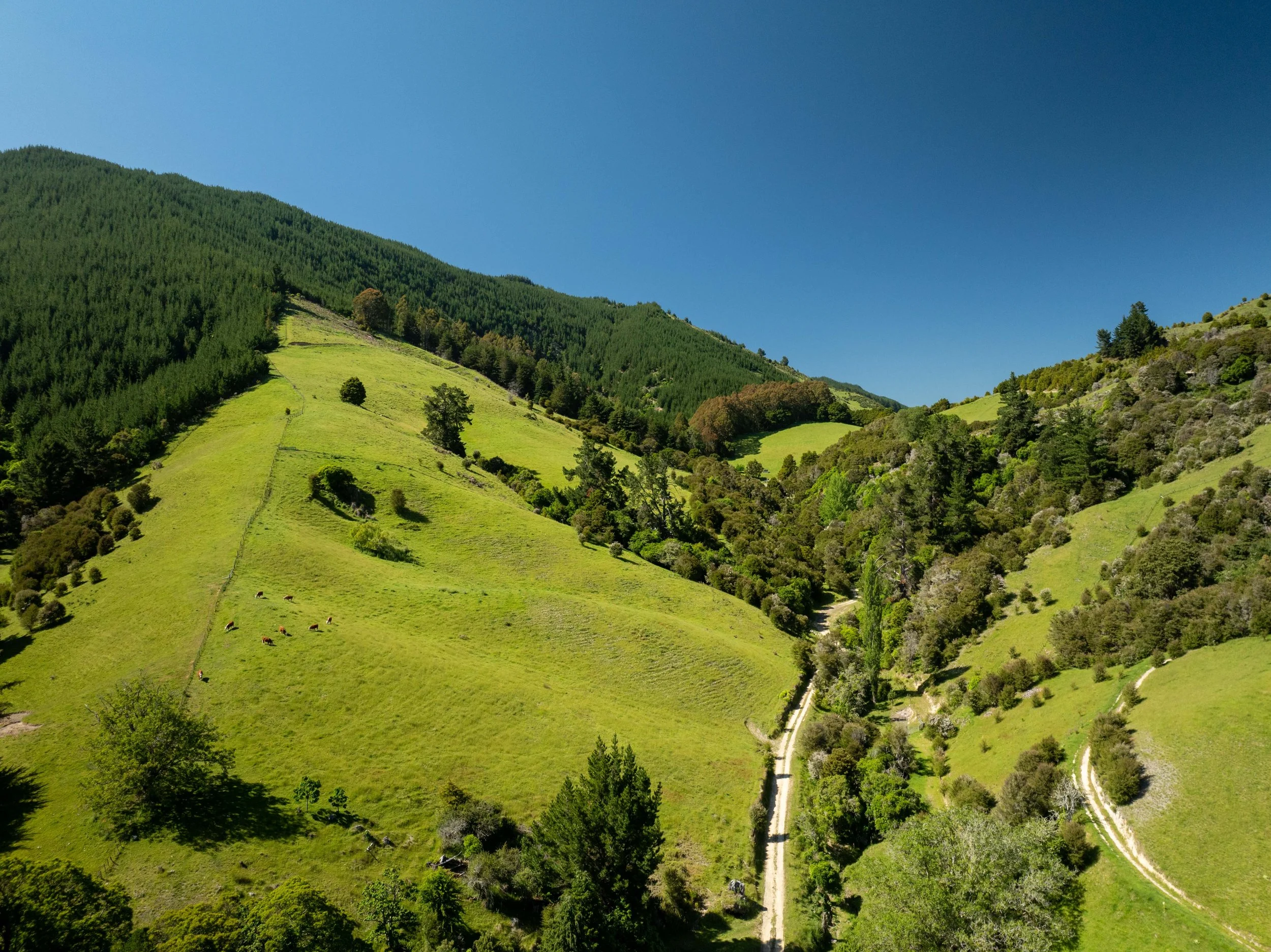 DJI_0849.jpg