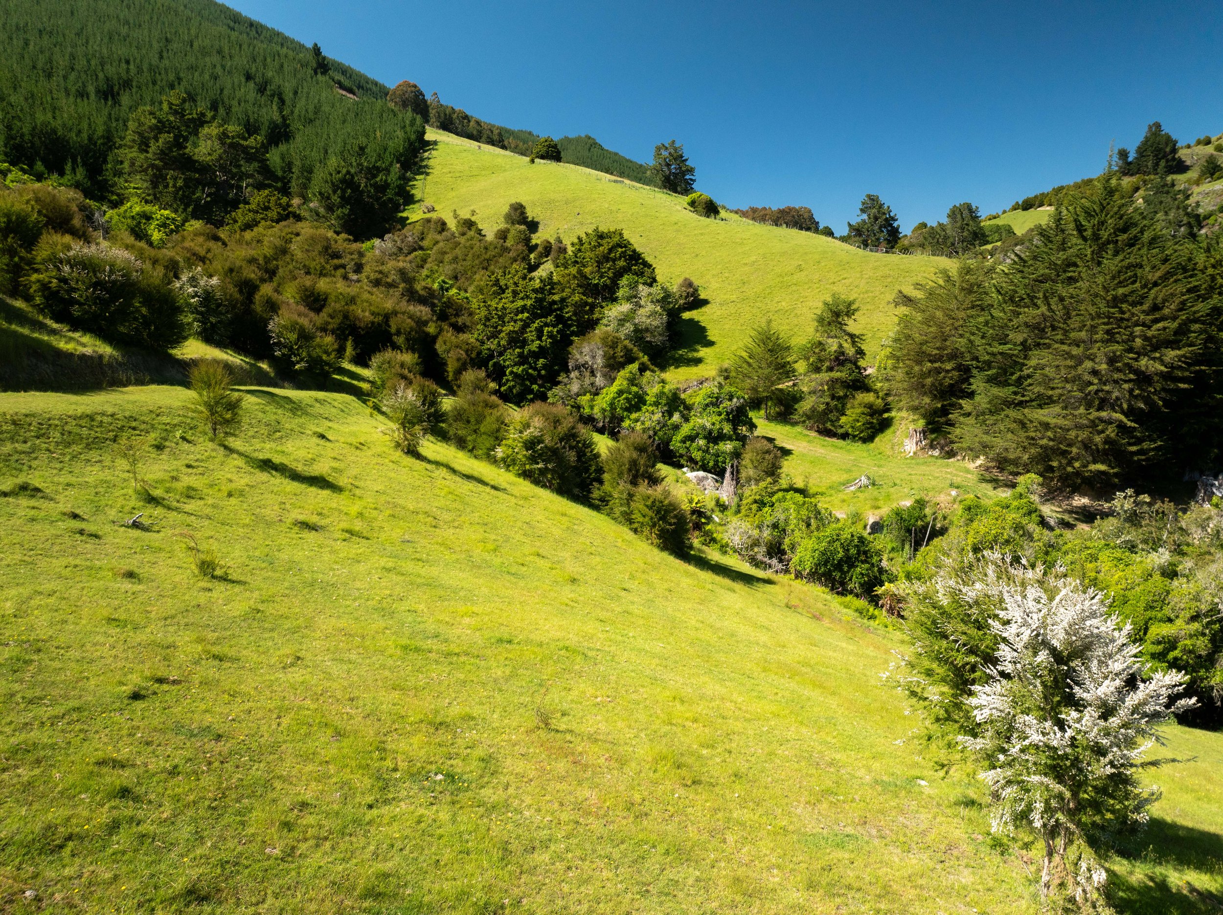 DJI_0851.jpg