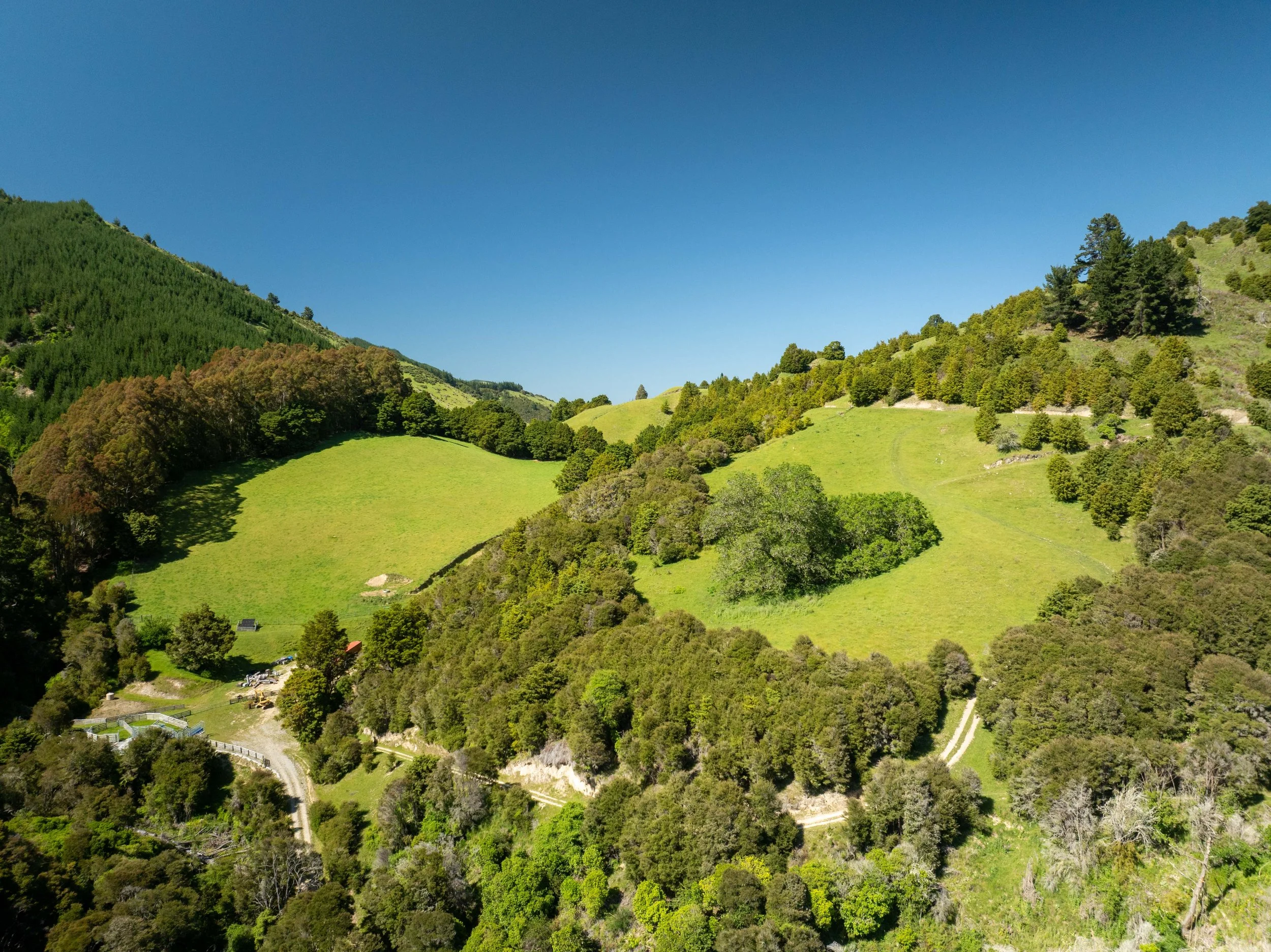 DJI_0865.jpg