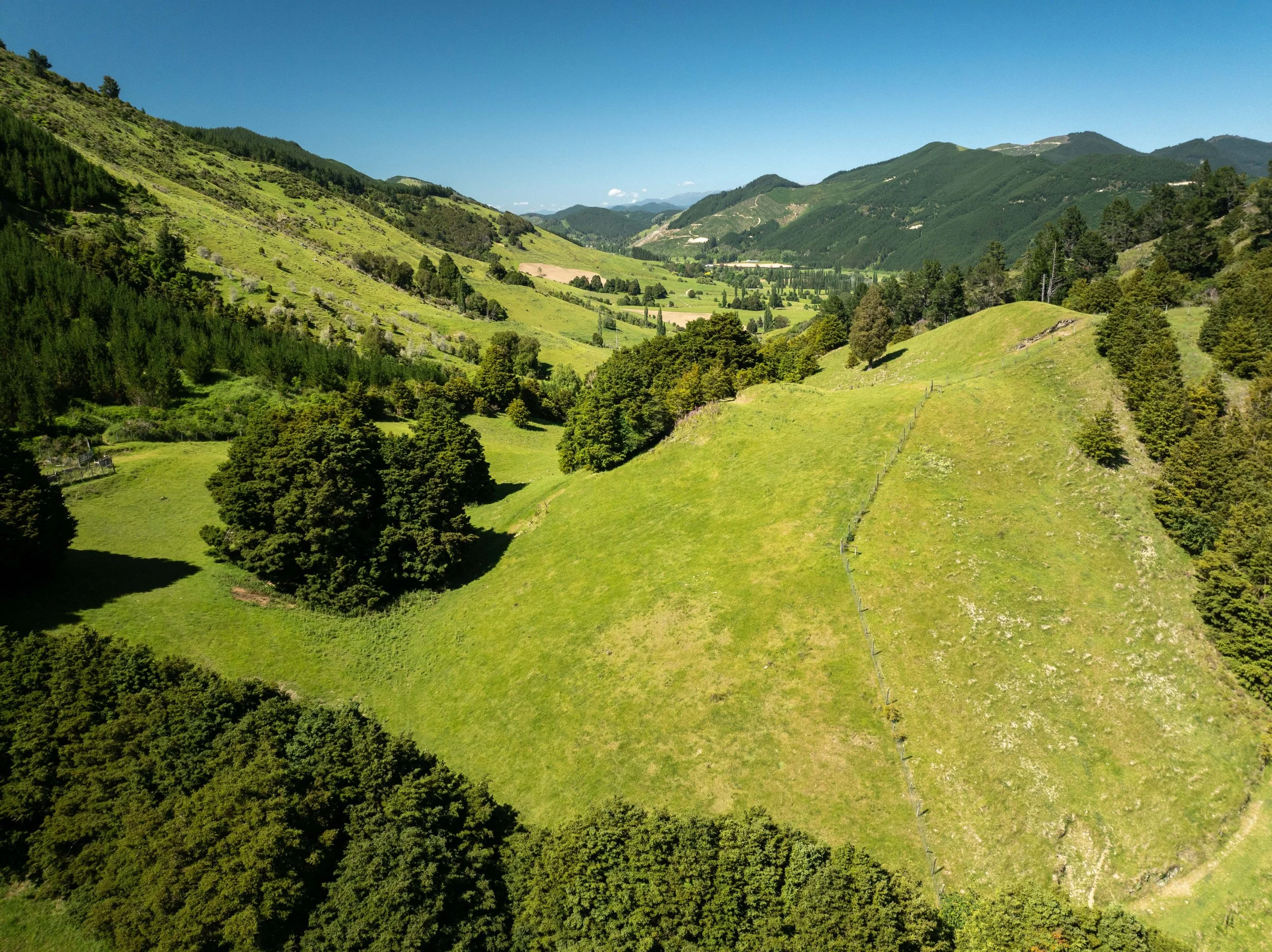 DJI_0871.jpg