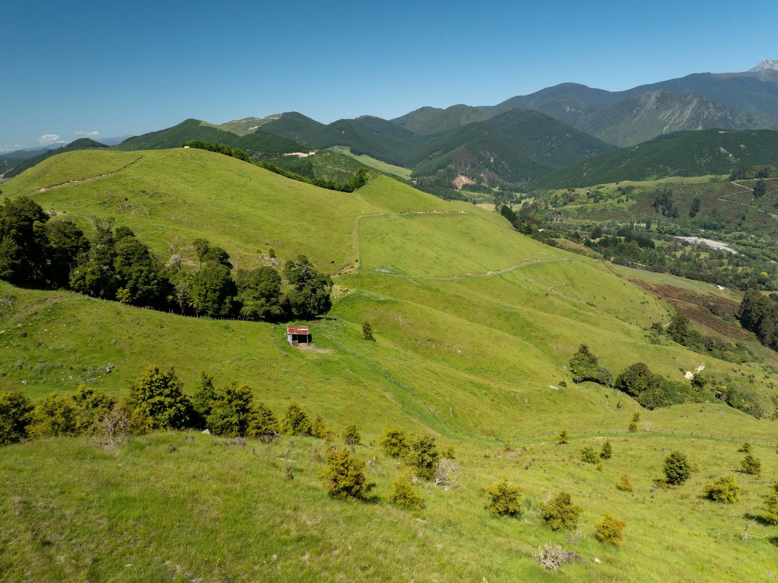 DJI_0878.jpg