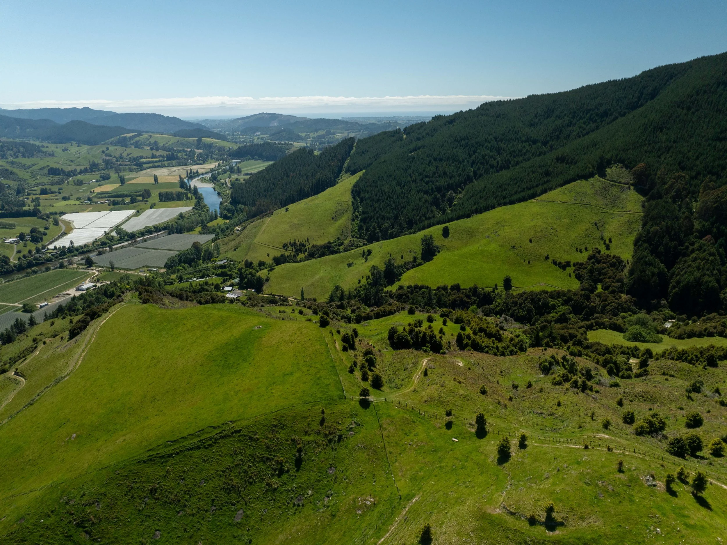 DJI_0893.jpg