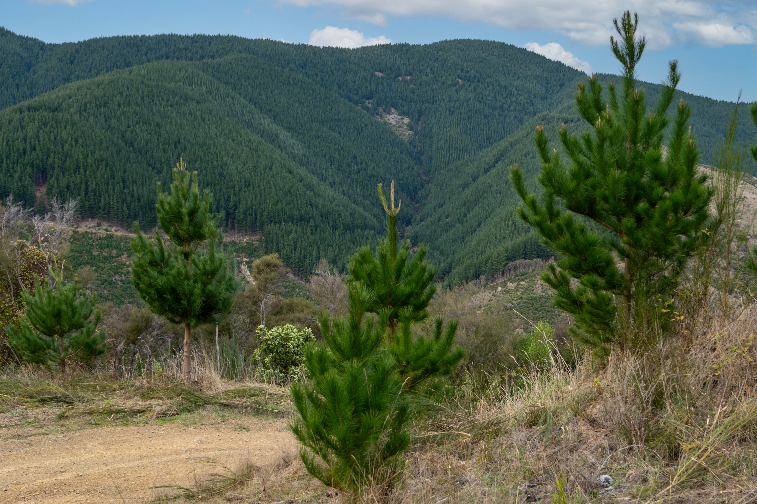 20230601-A7402939-Edit.png