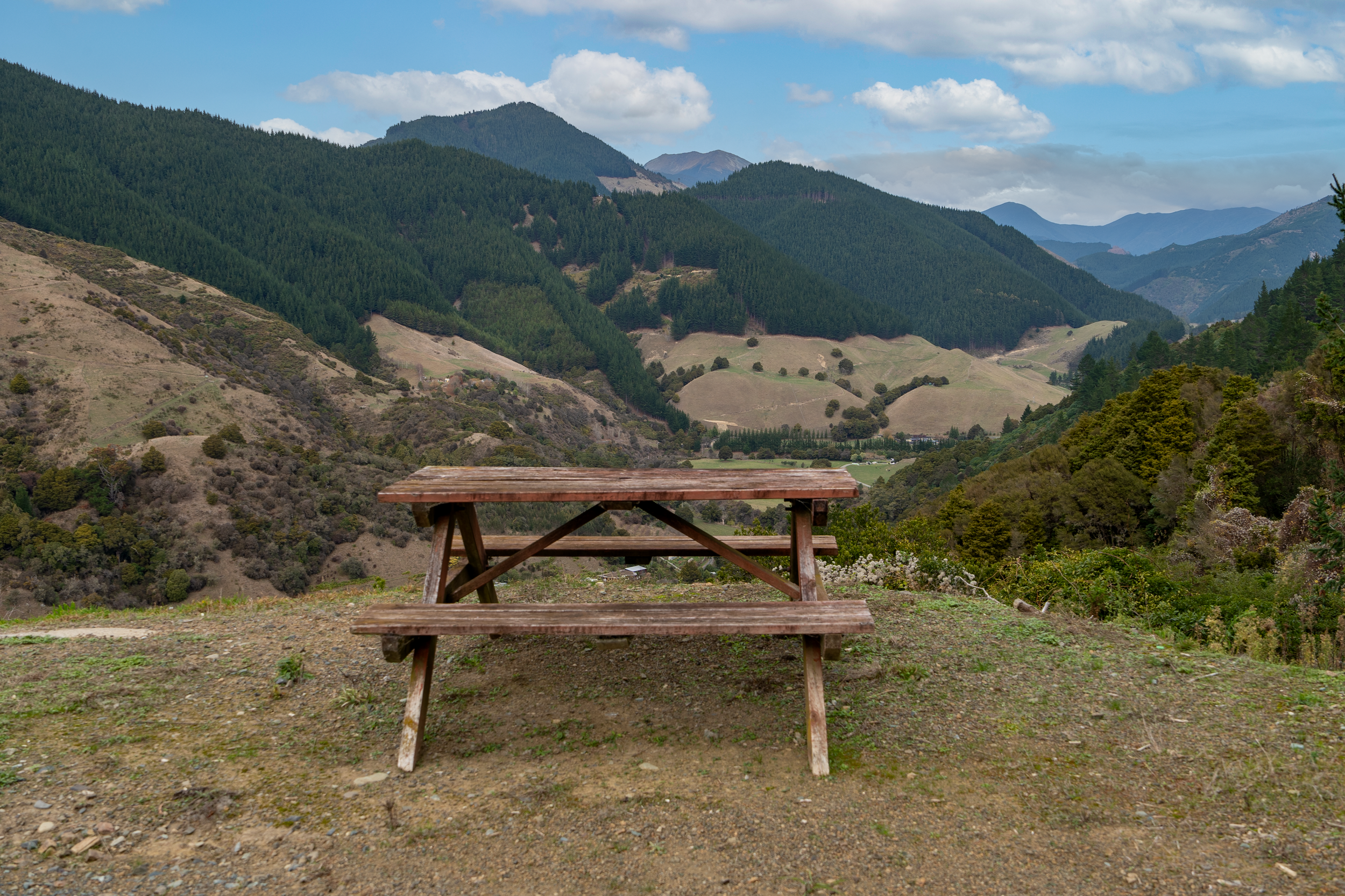 20230601-A7402944-Edit.png