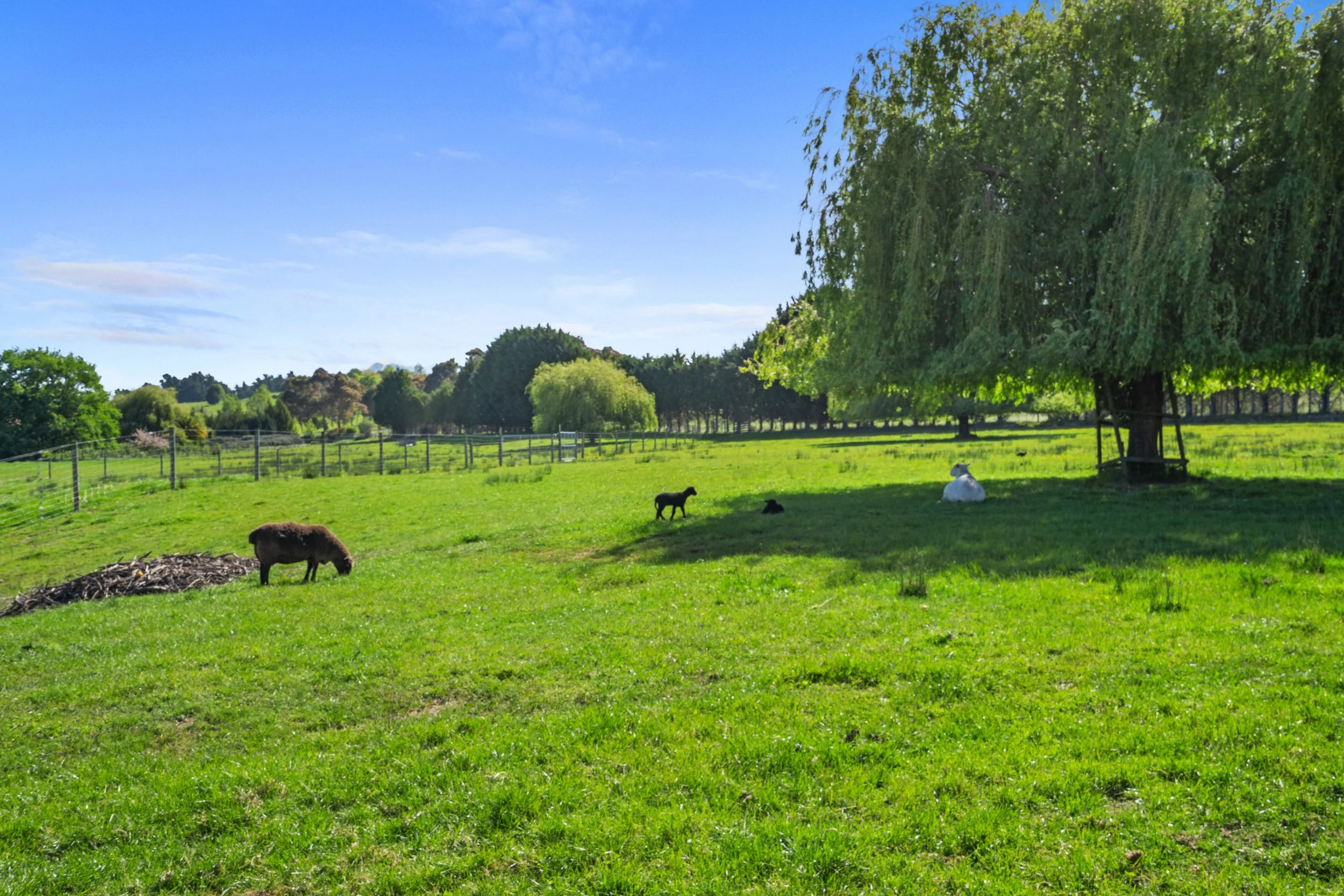108_Open2view_ID598835-71_Waiwhero_Road.jpg