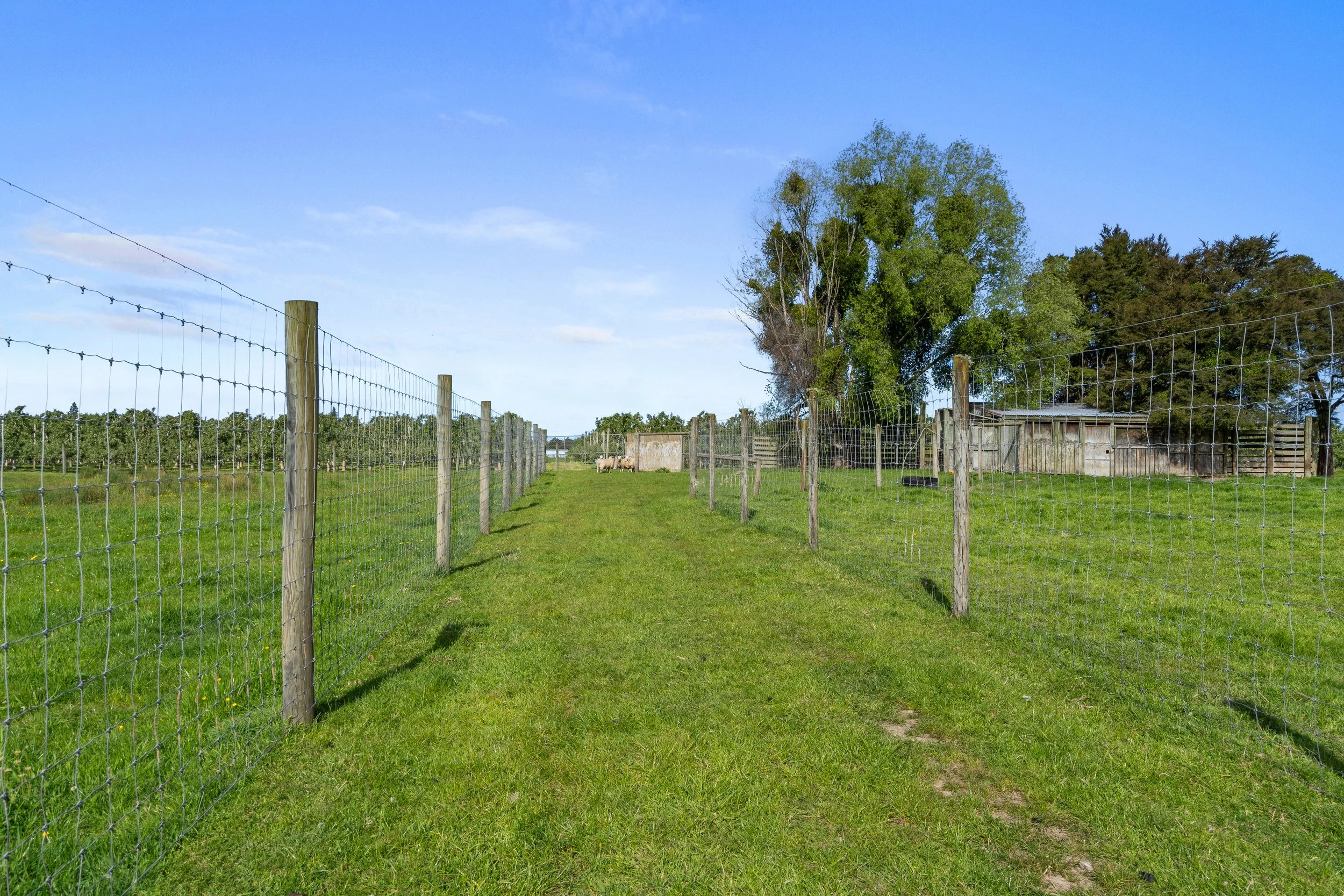 109_Open2view_ID598835-71_Waiwhero_Road.jpg