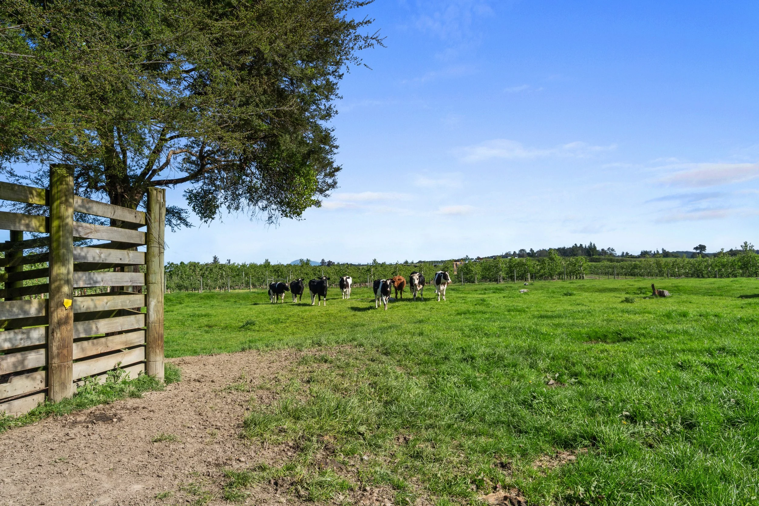 110_Open2view_ID598835-71_Waiwhero_Road.jpg