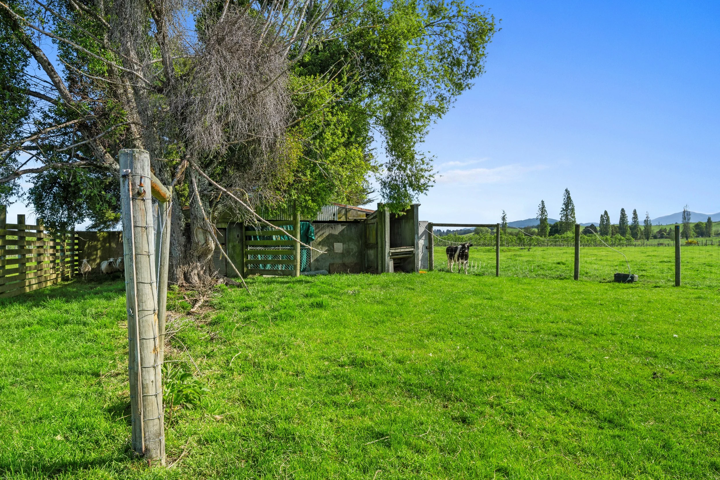 111_Open2view_ID598835-71_Waiwhero_Road.jpg