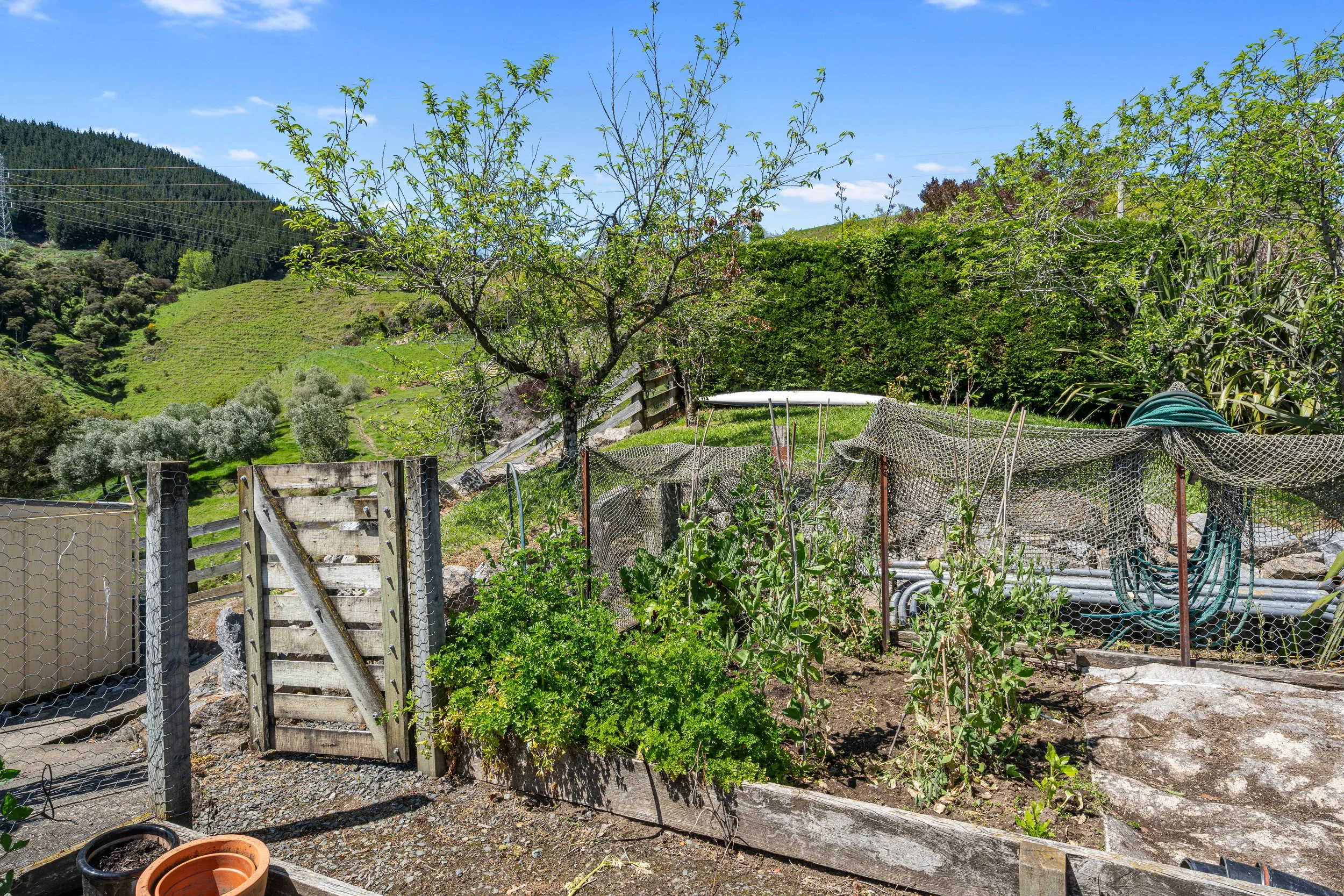 094_Open2view_ID598833-231_Aniseed_Valley_Road.jpg