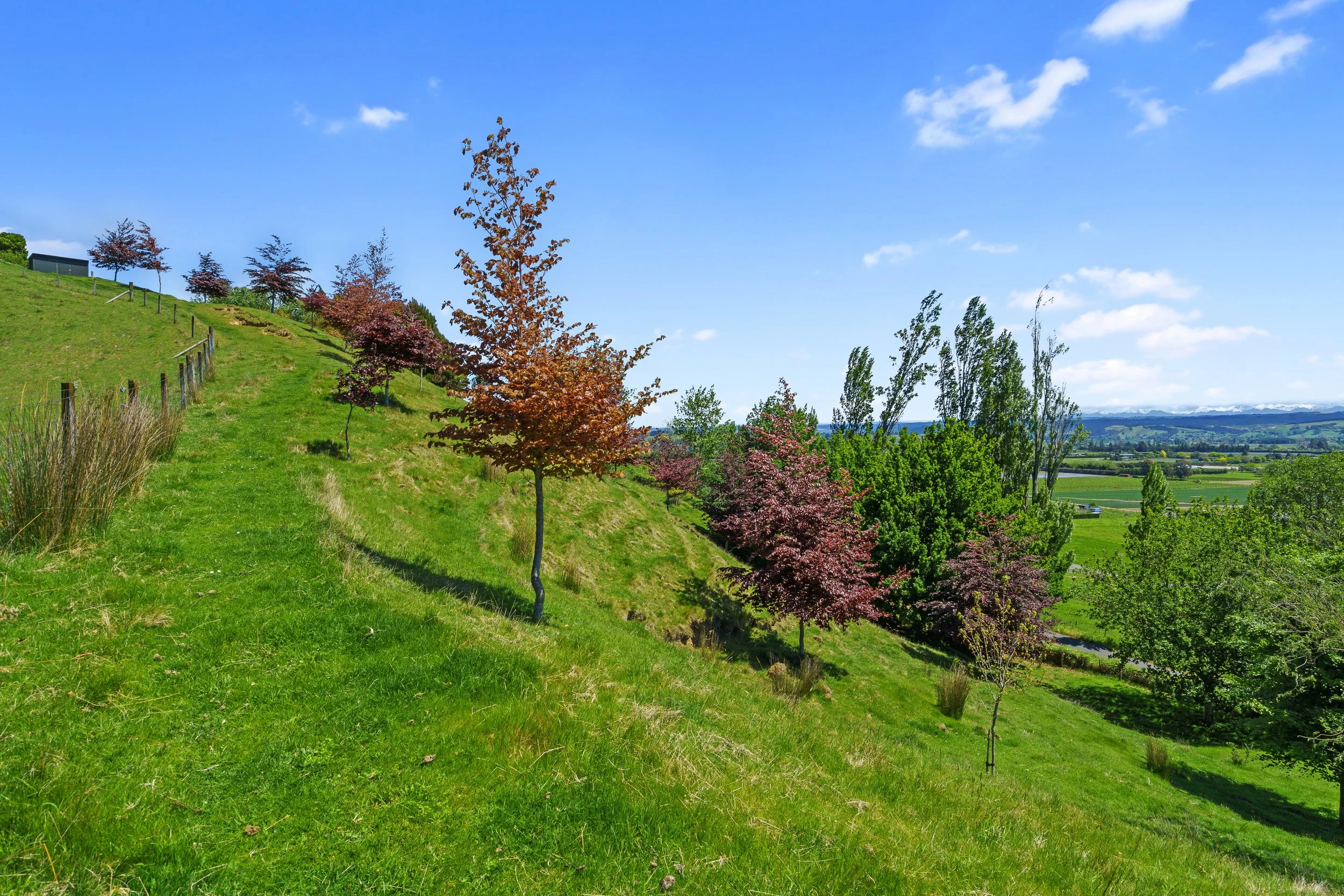 129_Open2view_ID598833-231_Aniseed_Valley_Road.jpg