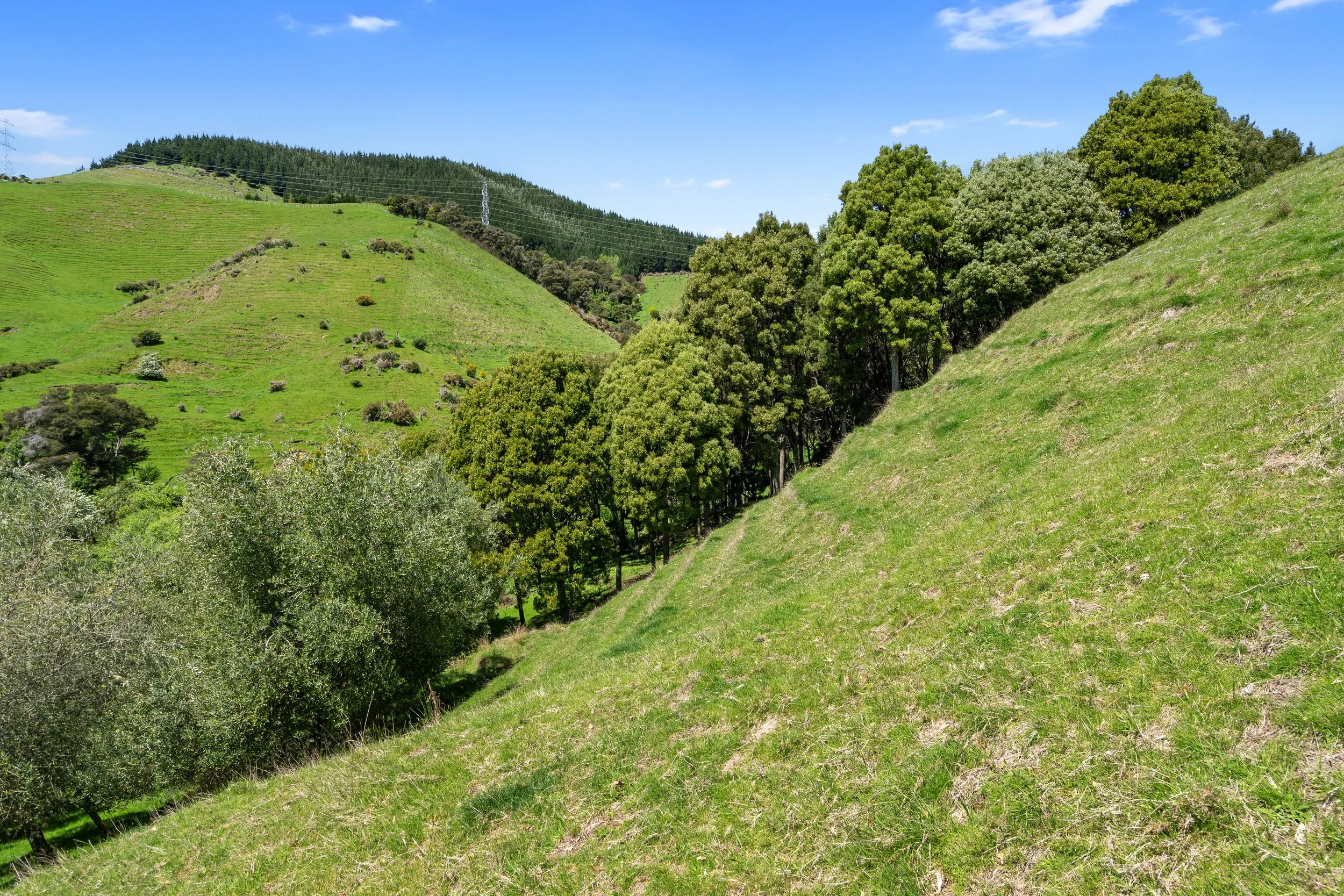 133_Open2view_ID598833-231_Aniseed_Valley_Road.jpg