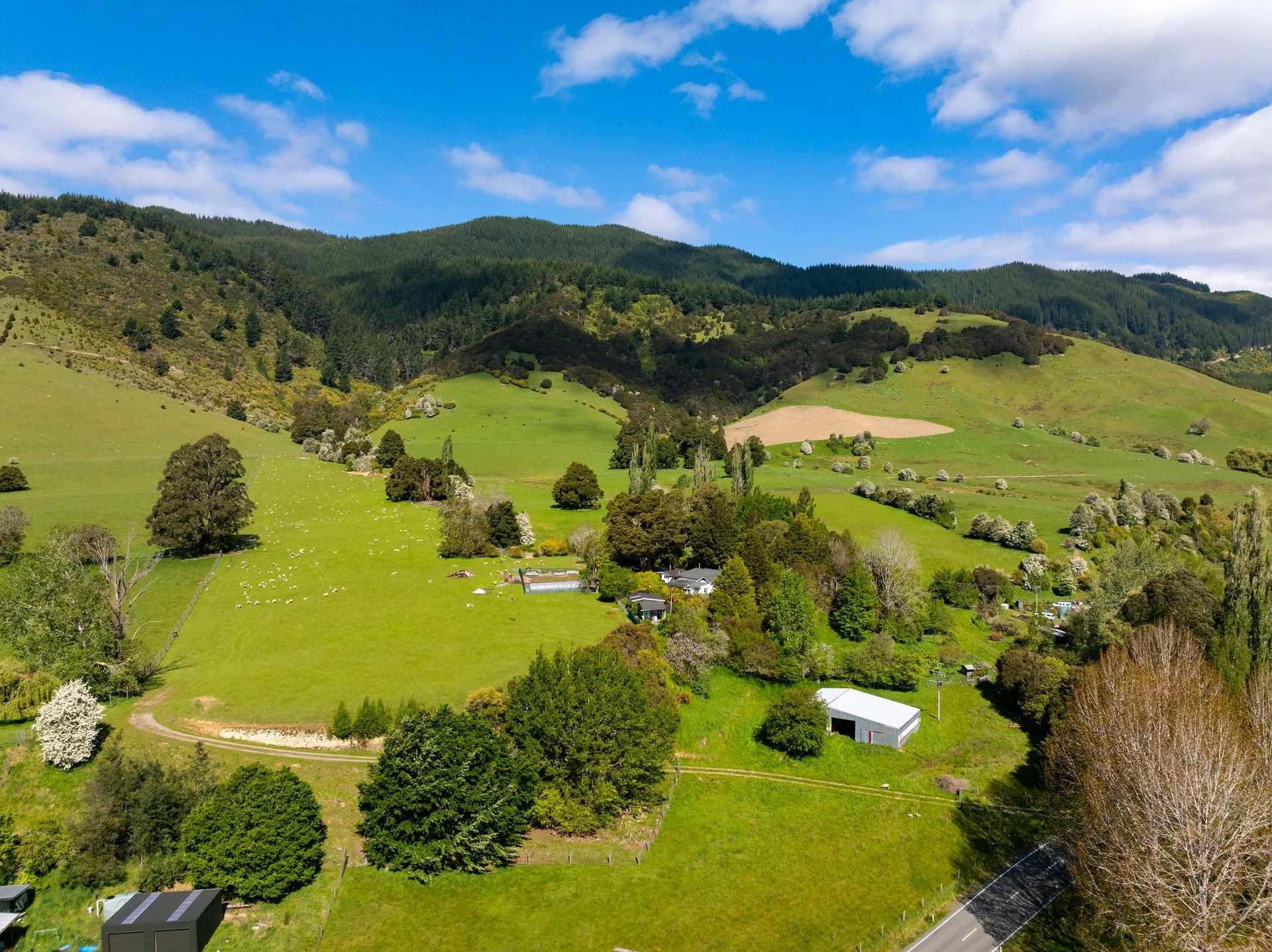 2323 Motukea Valley (24 of 102)_1920px.jpg