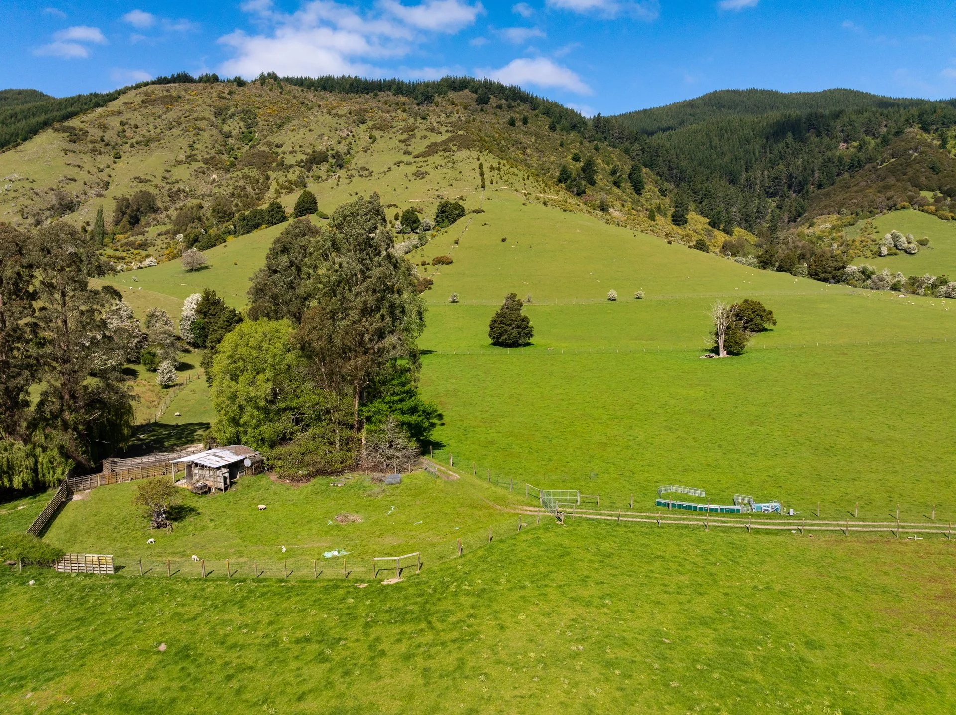 2323 Motukea Valley (27 of 102)_1920px.jpg