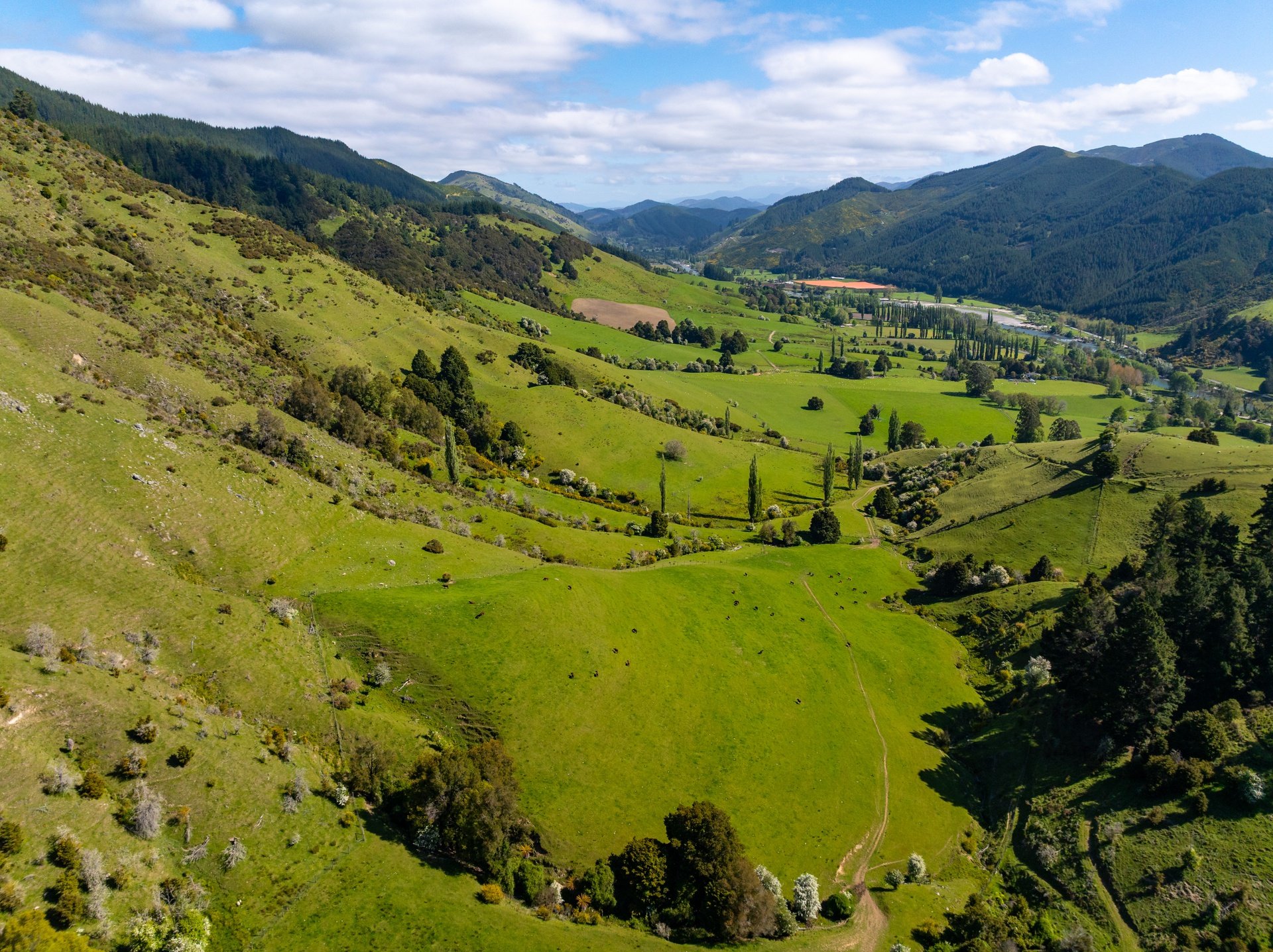 2323 Motukea Valley (37 of 102)_1920px.jpg