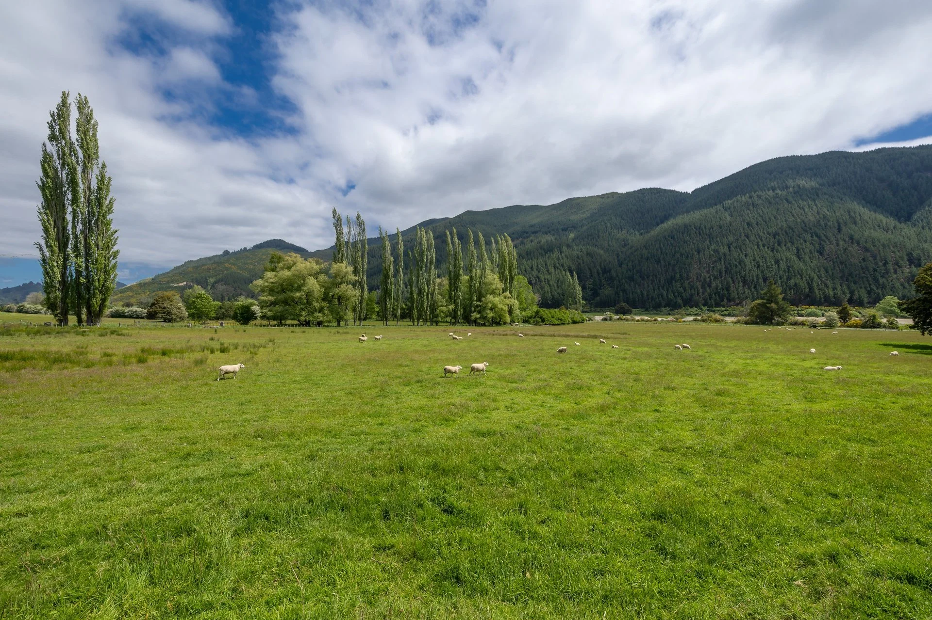 2323 Motukea Valley (75 of 102)_1920px.jpg