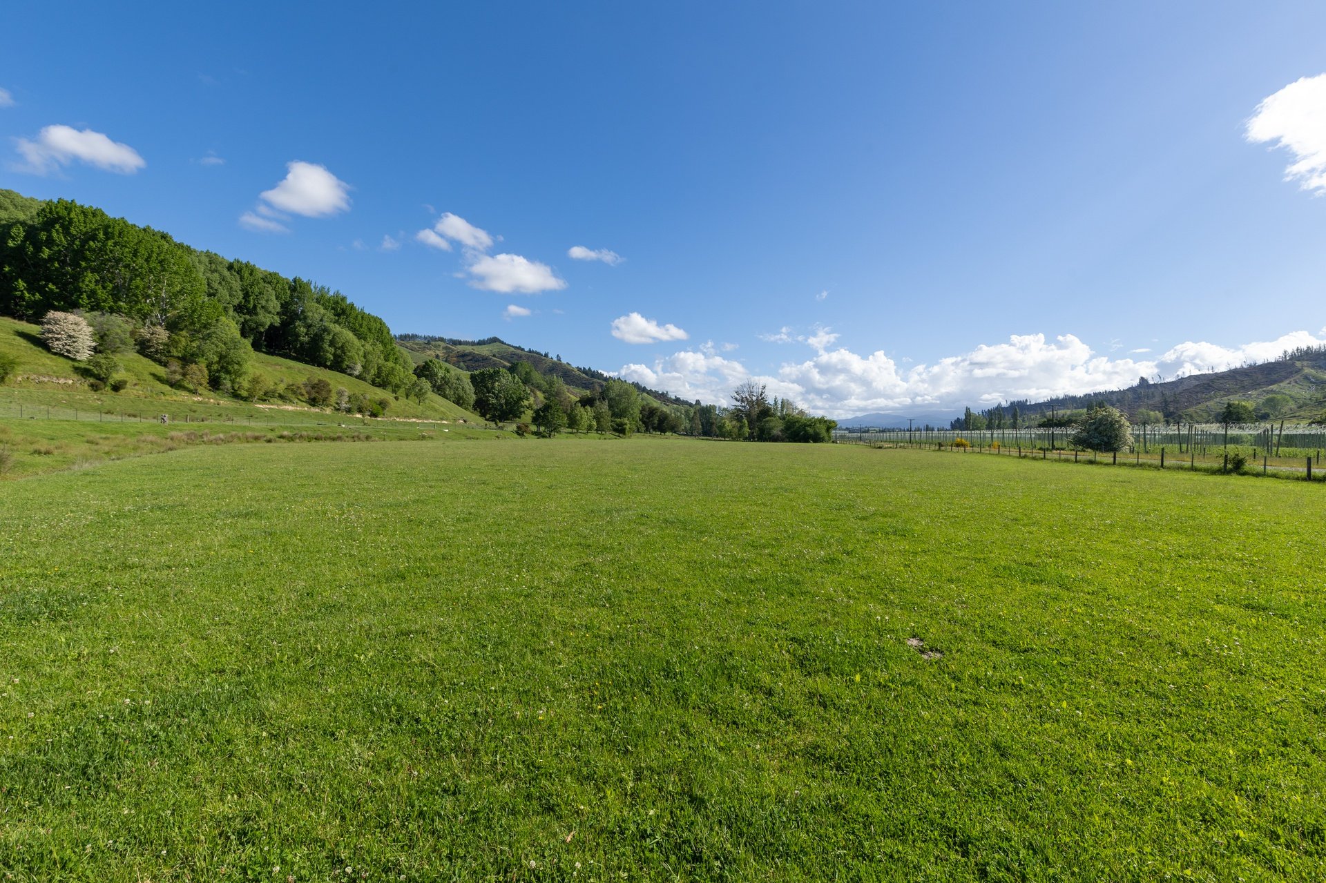 281 Tadmore (93 of 97)_1920px.jpg