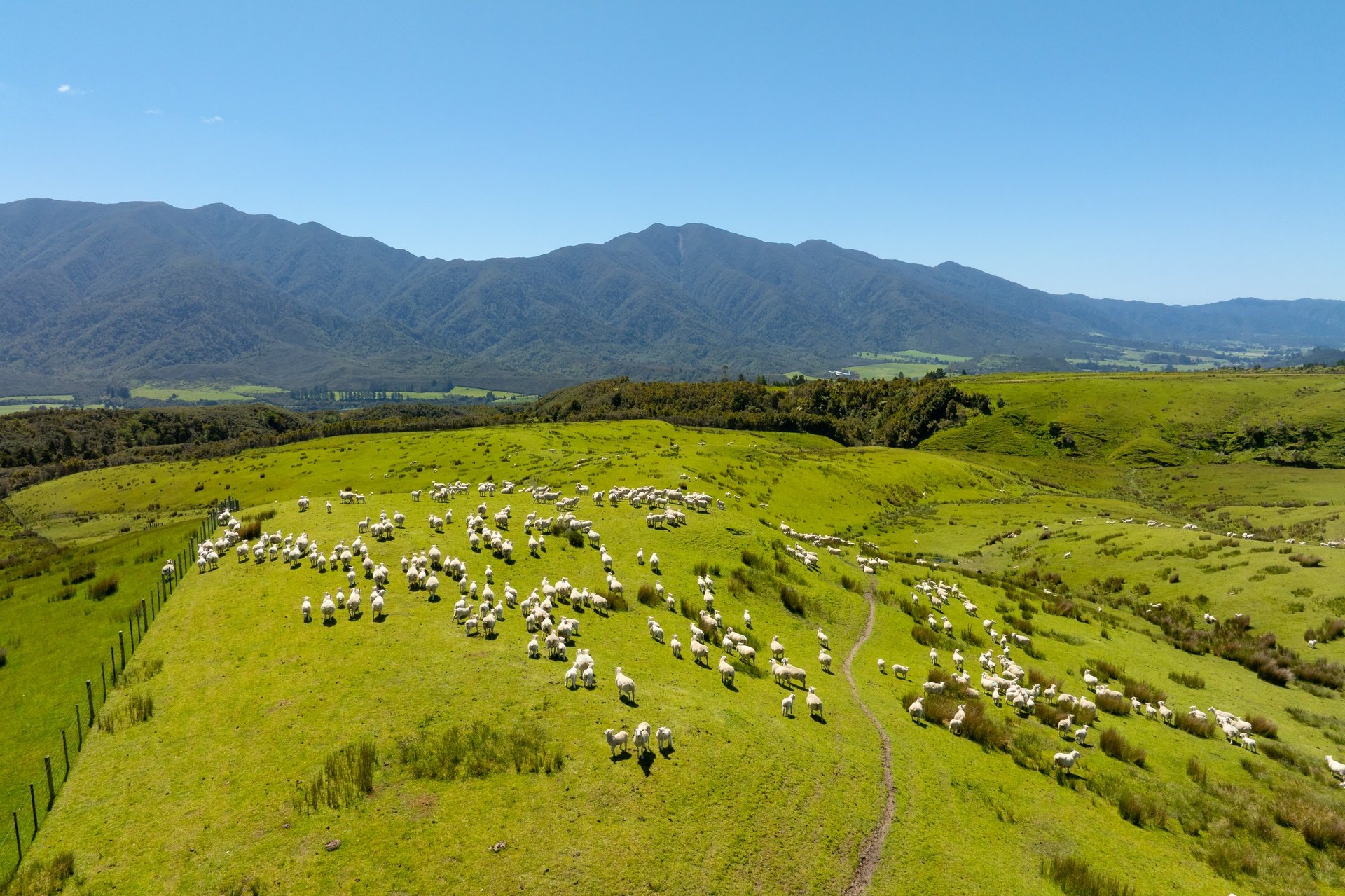 220 Quartz Range Road (86 of 139)_1920px.jpg