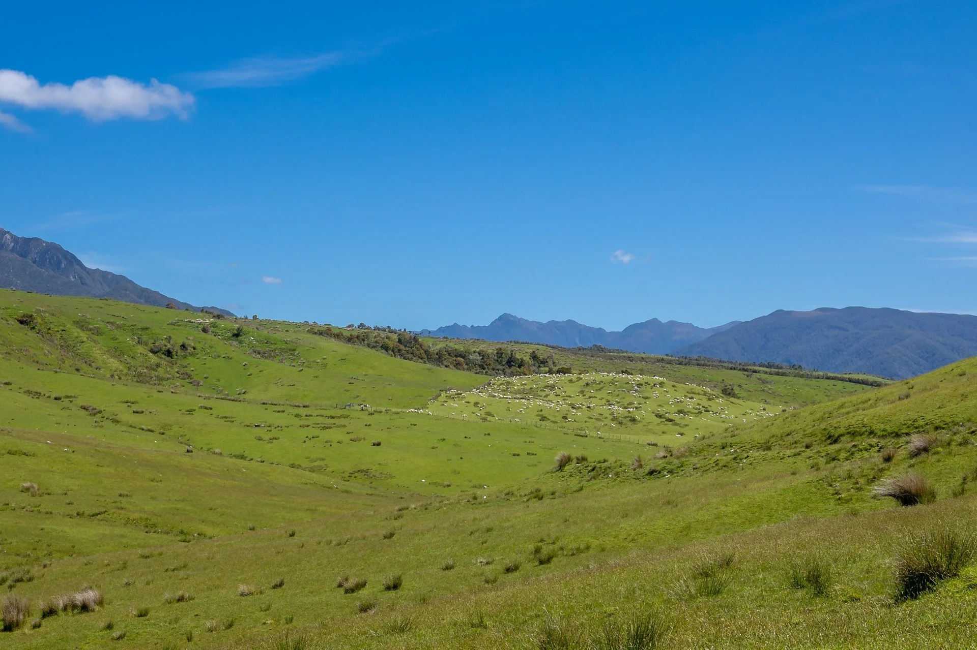 220 Quartz Range Road (90 of 139)_1920px.jpg