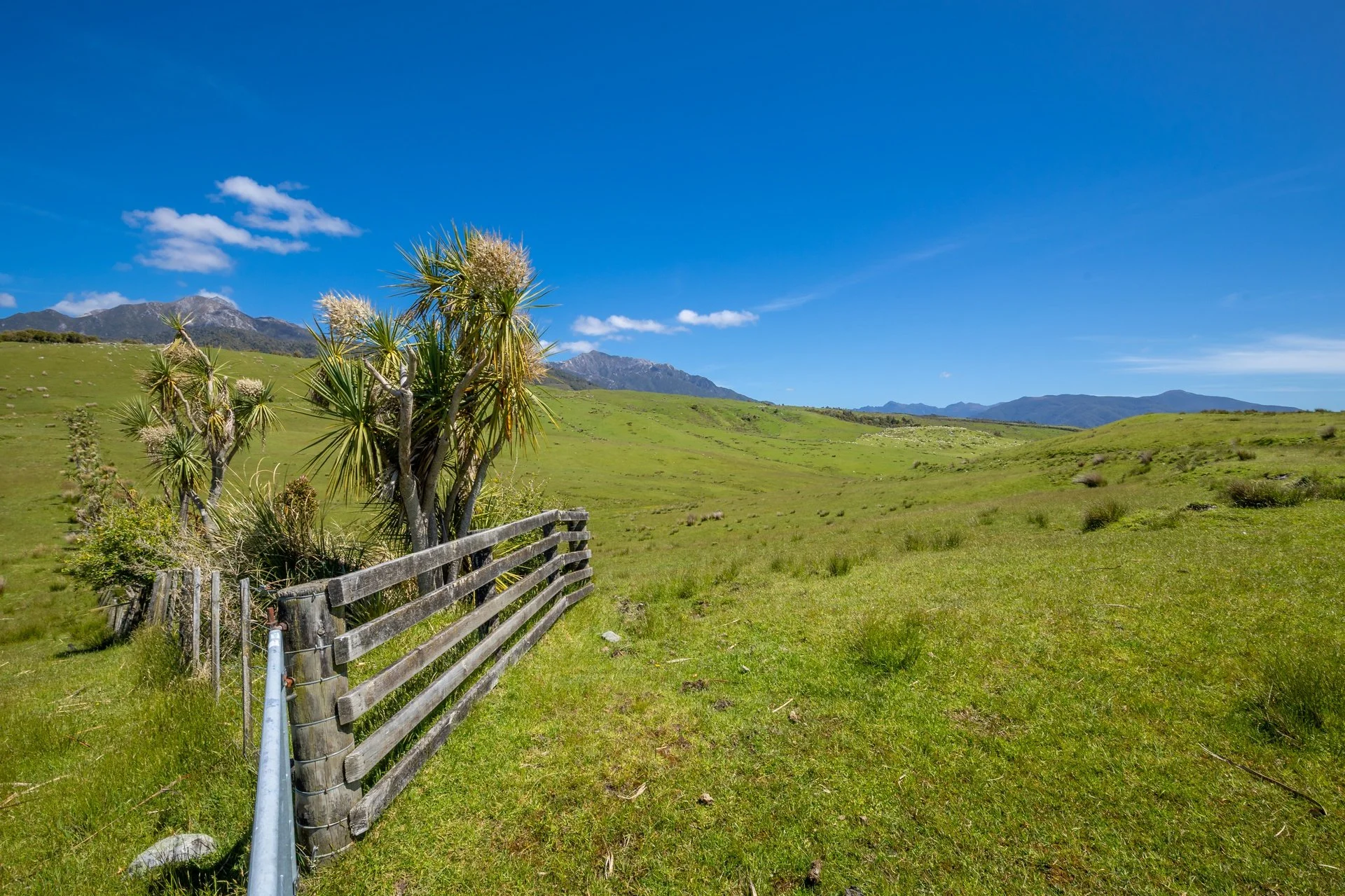 220 Quartz Range Road (91 of 139)_1920px.jpg