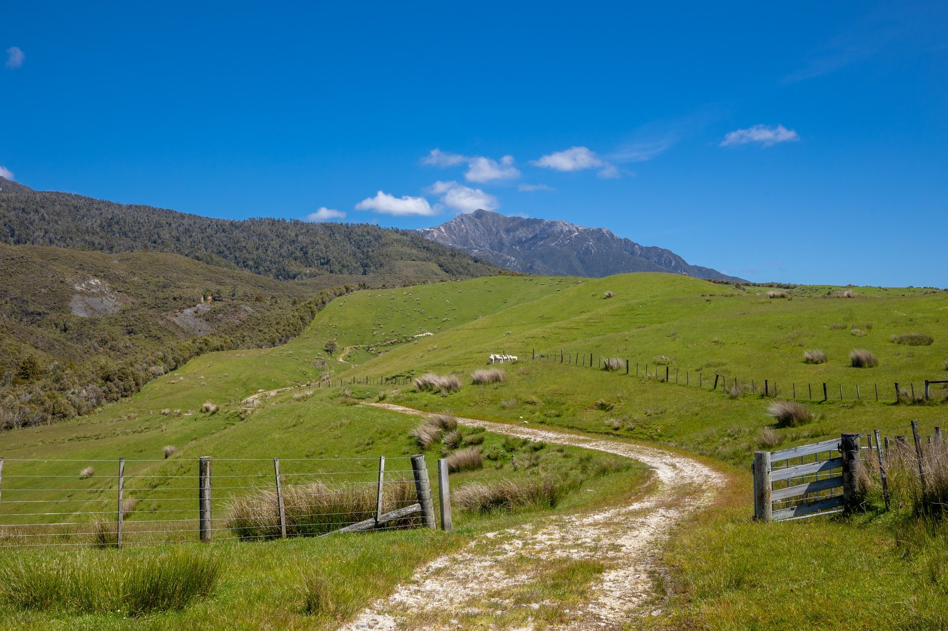 220 Quartz Range Road (92 of 139)_1920px.jpg