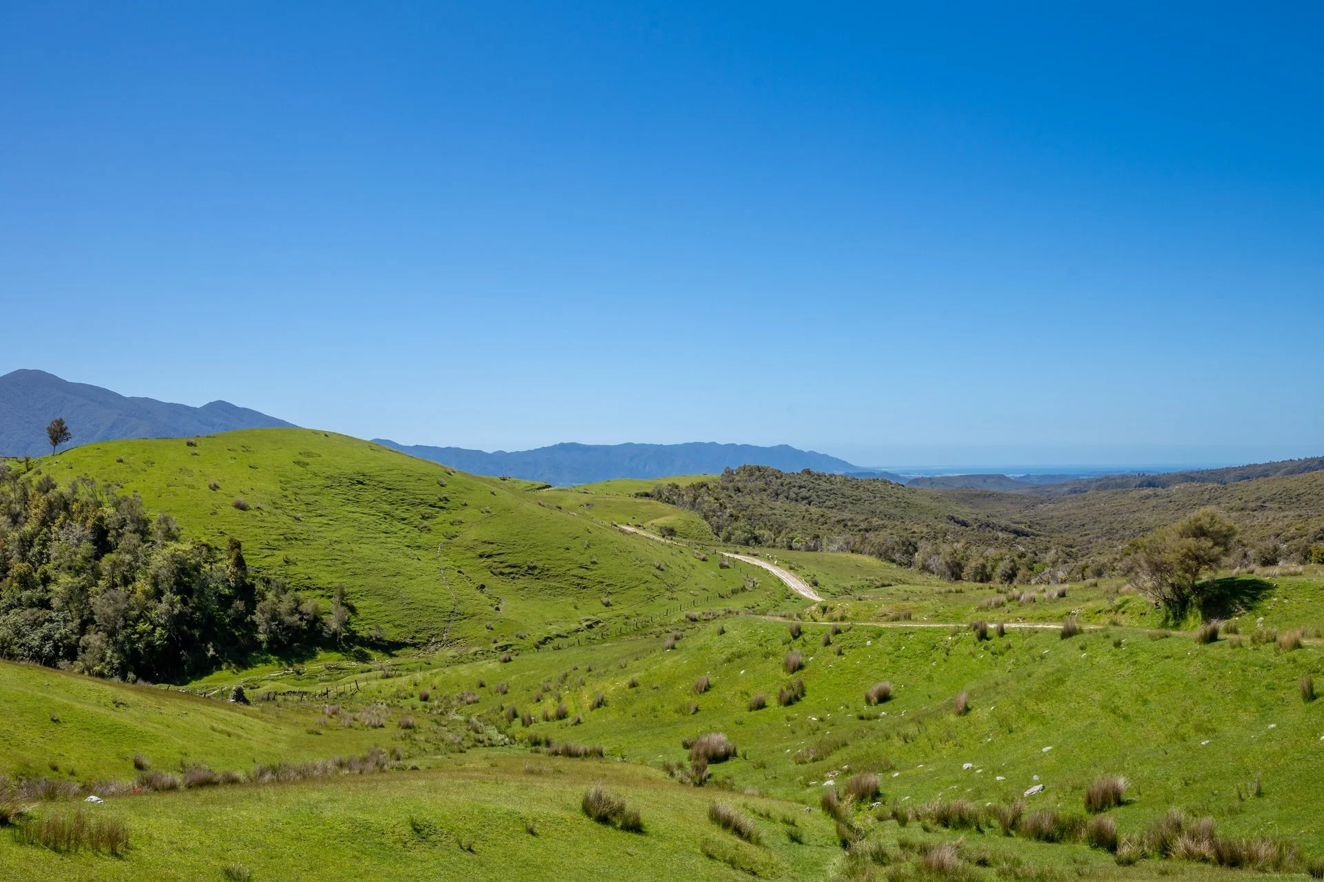 220 Quartz Range Road (93 of 139)_1920px.jpg