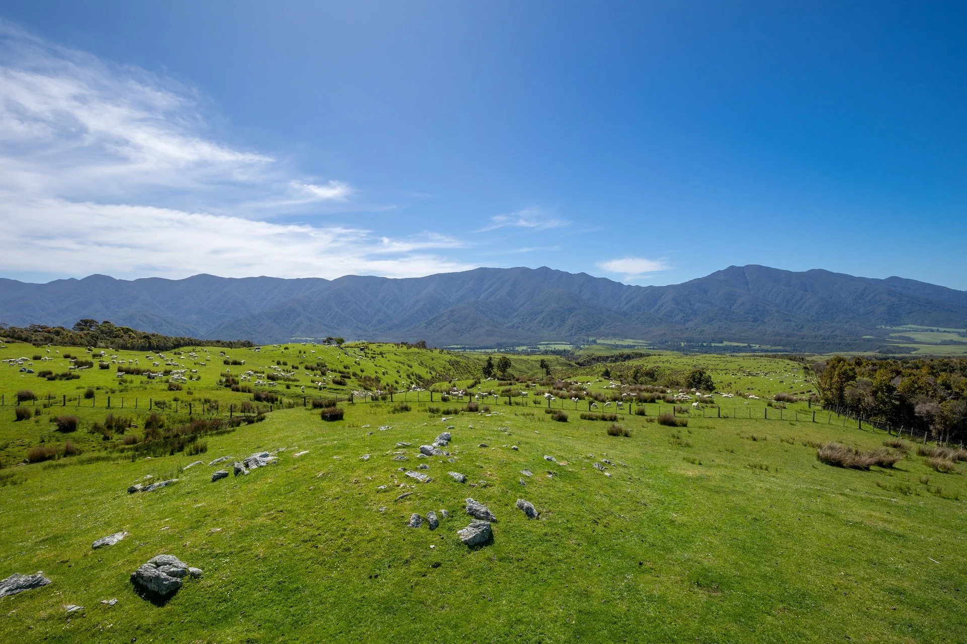 220 Quartz Range Road (104 of 139)_1920px.jpg